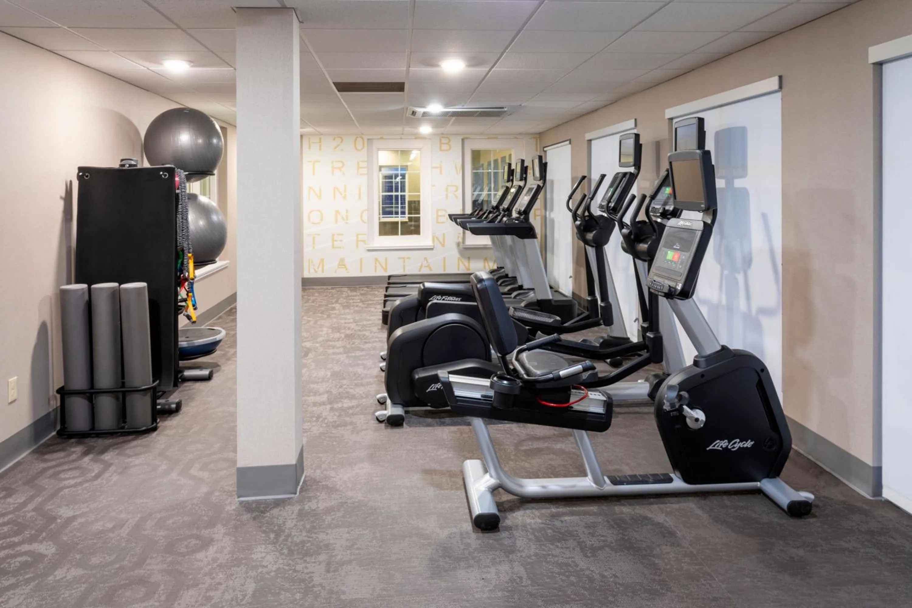 Fitness centre/facilities in Residence Inn Minneapolis St. Paul/Roseville