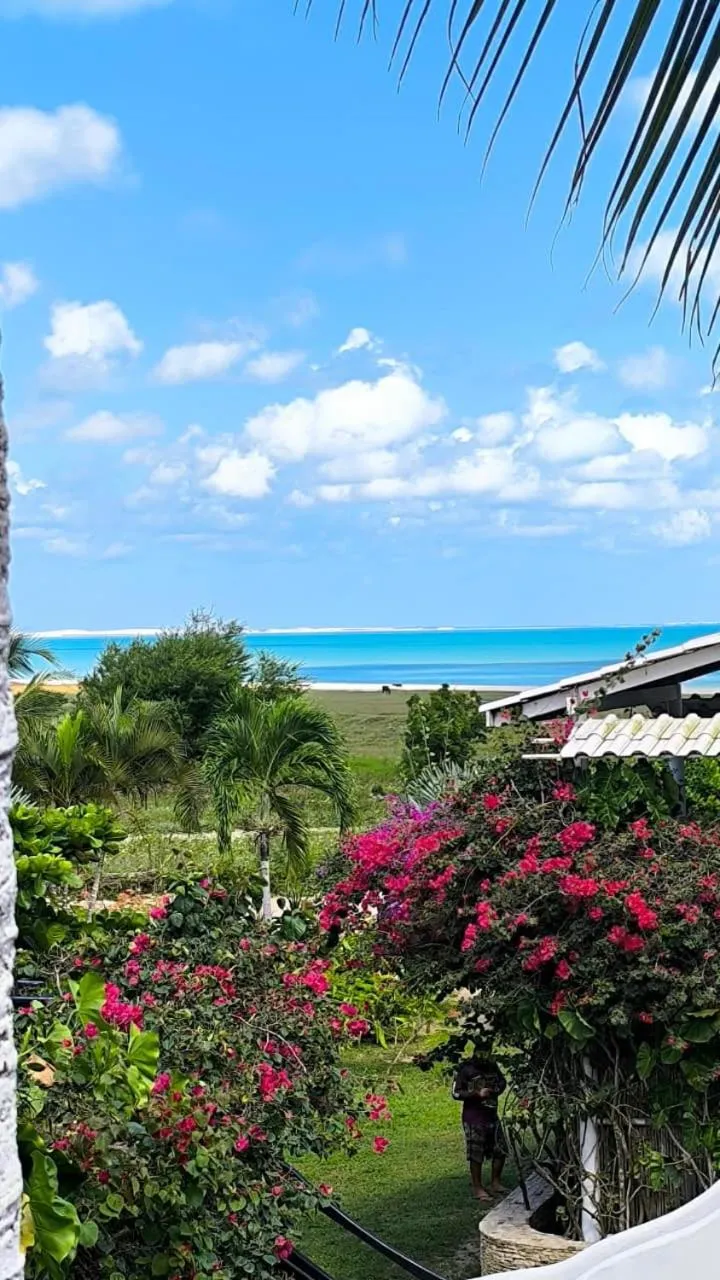 Garden view in Pousada Sahara