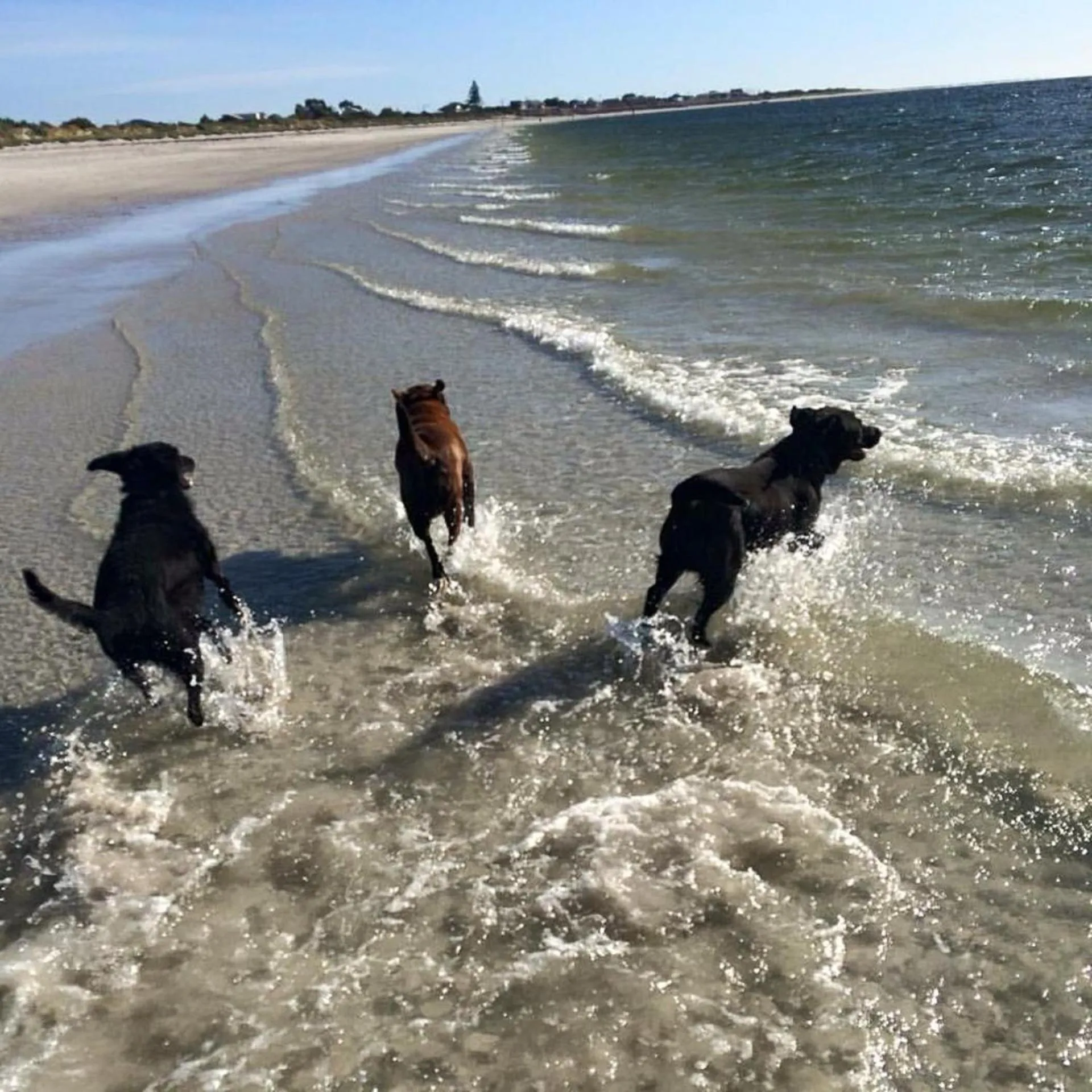 Summer in Agnes Cottage Bed & Breakfast