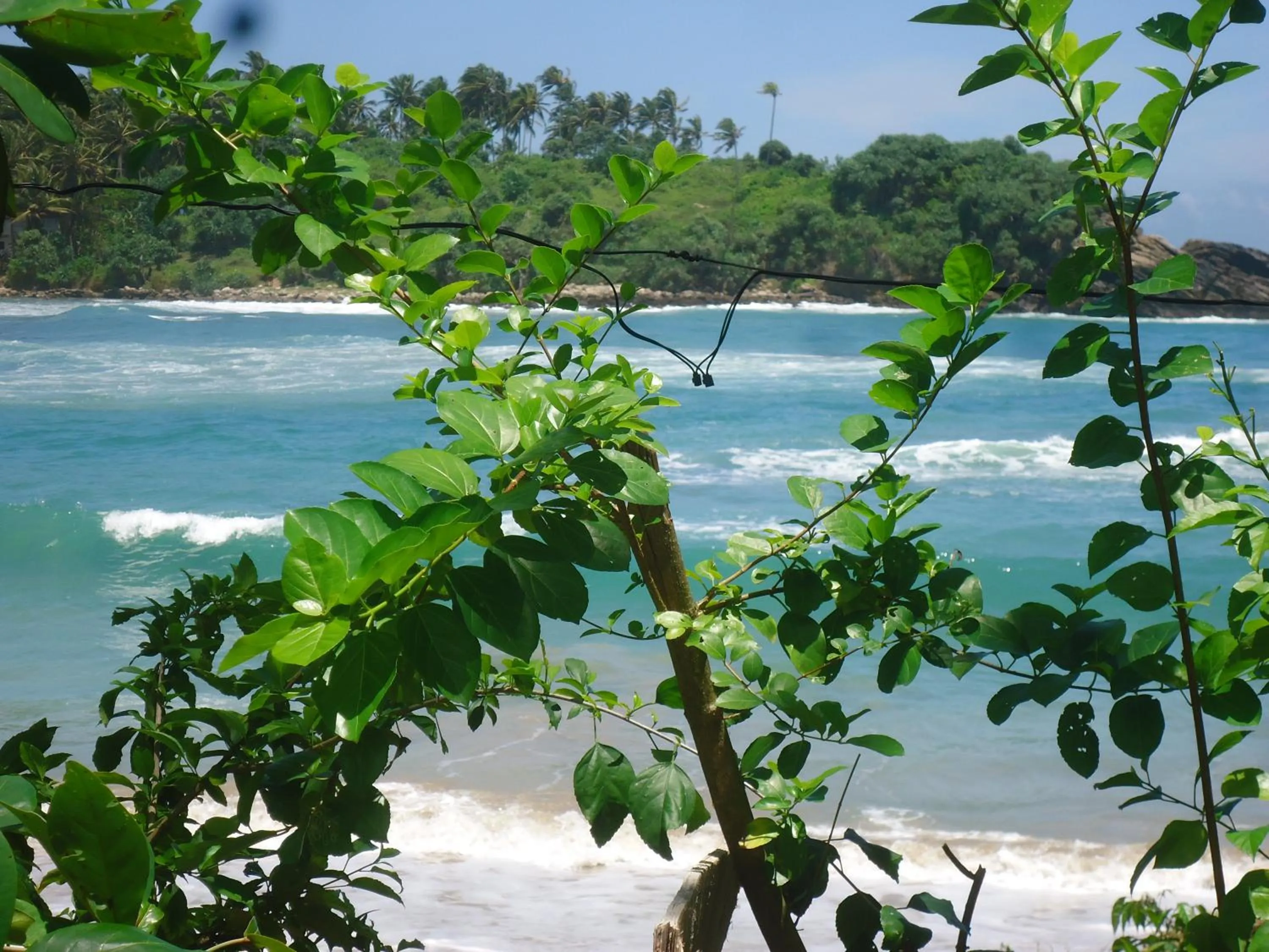 Beach in Sea Port Hiriketiya