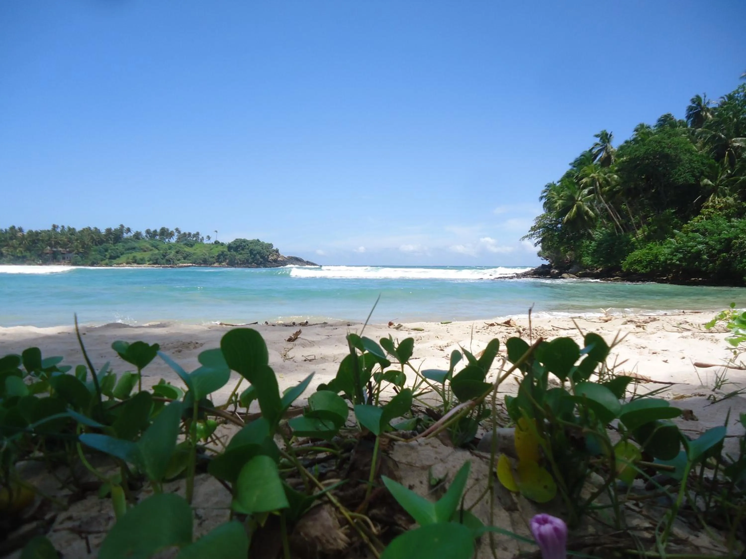 Beach in Sea Port Hiriketiya