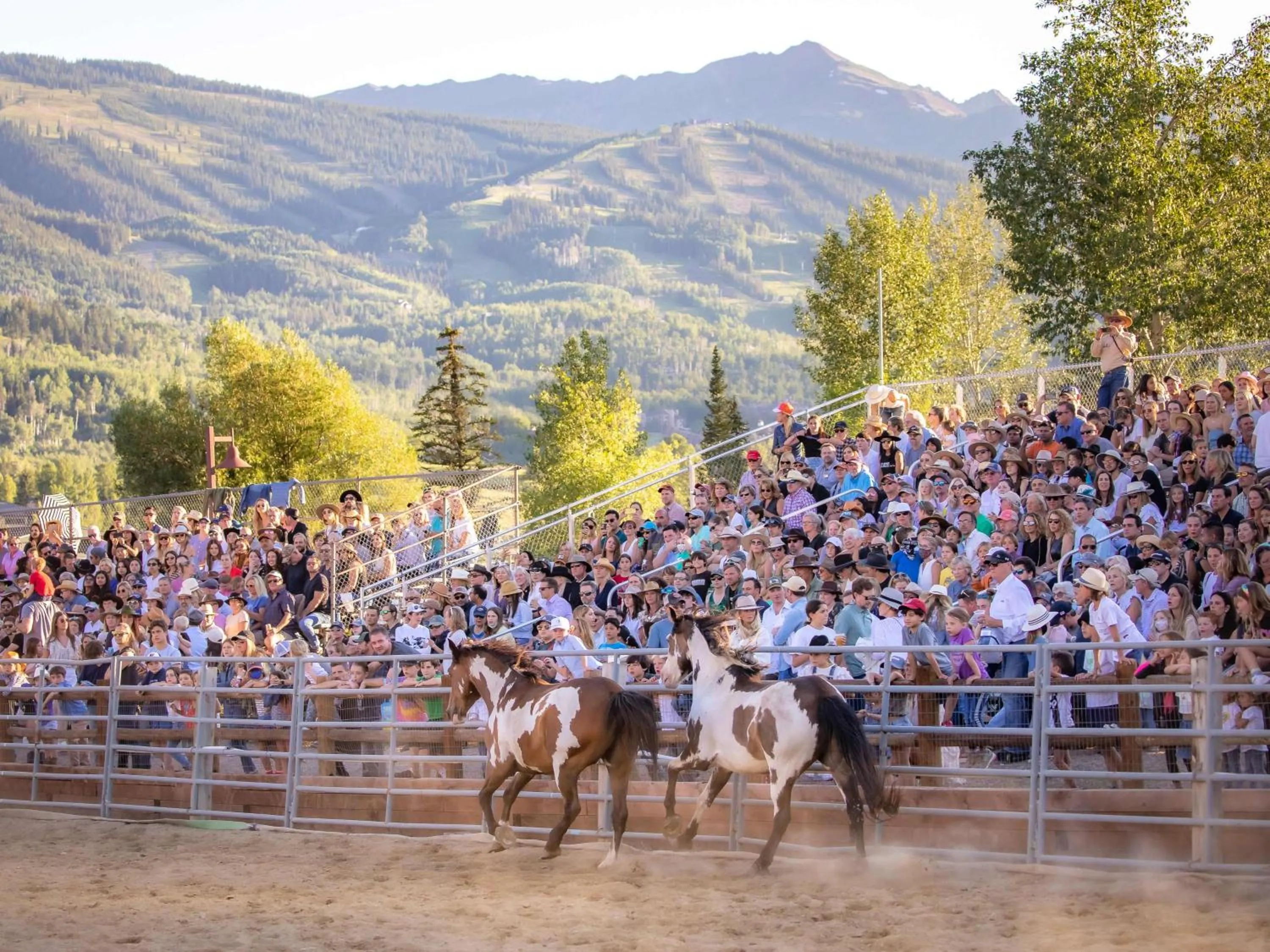 Tamarack Townhomes - CoralTree Residence Collection