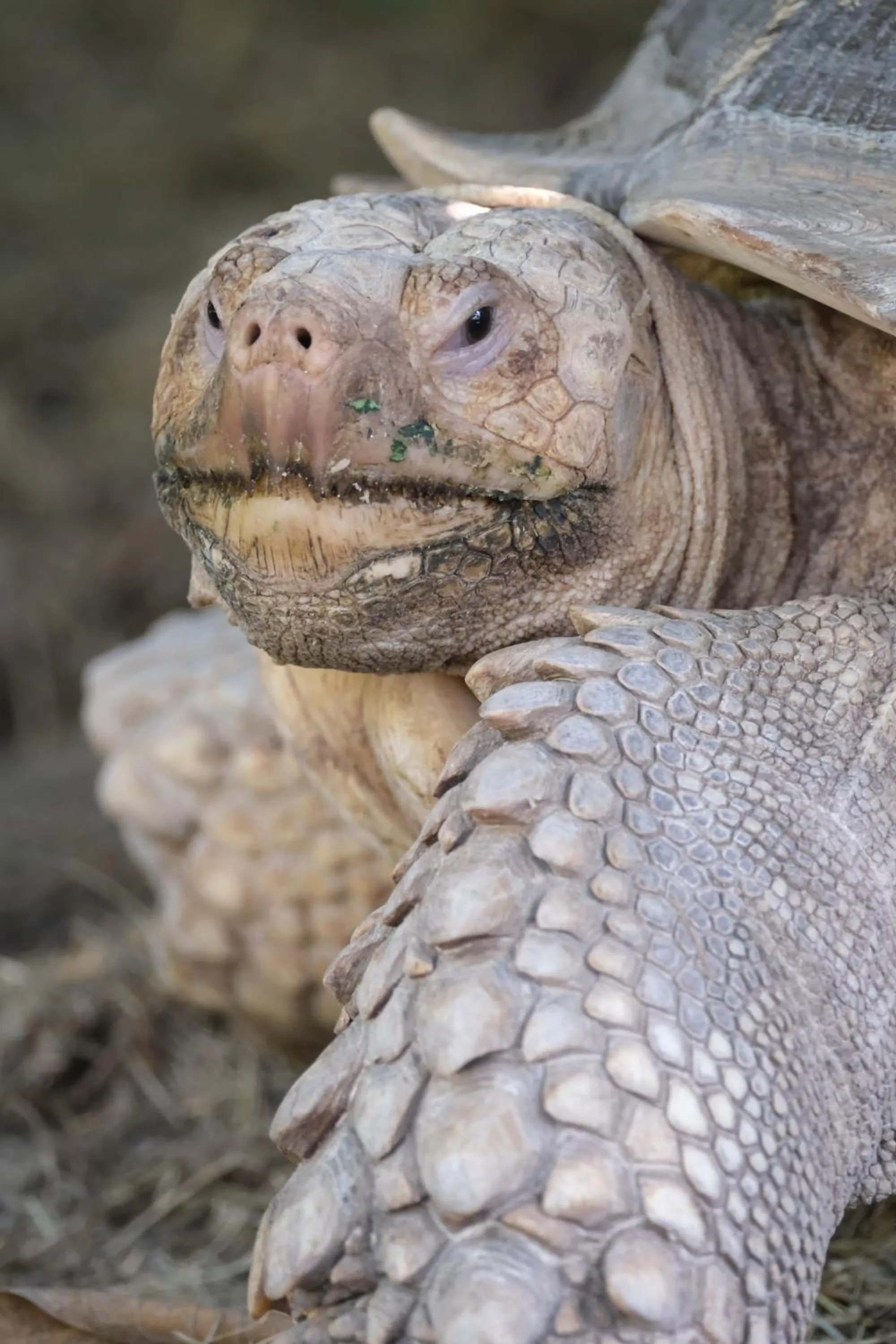 Property building in Jivana Resort
