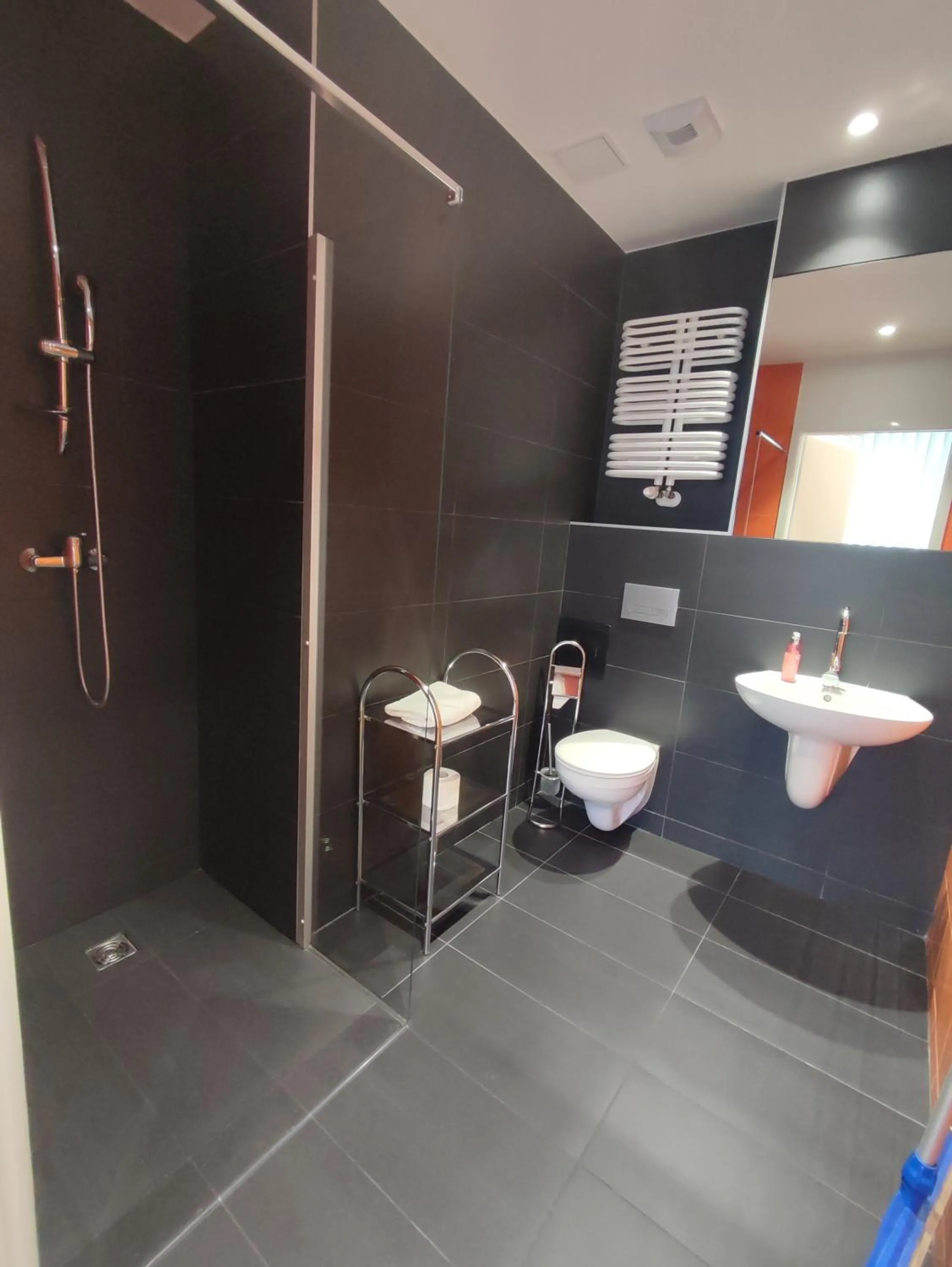 Bathroom in Esperanto Home