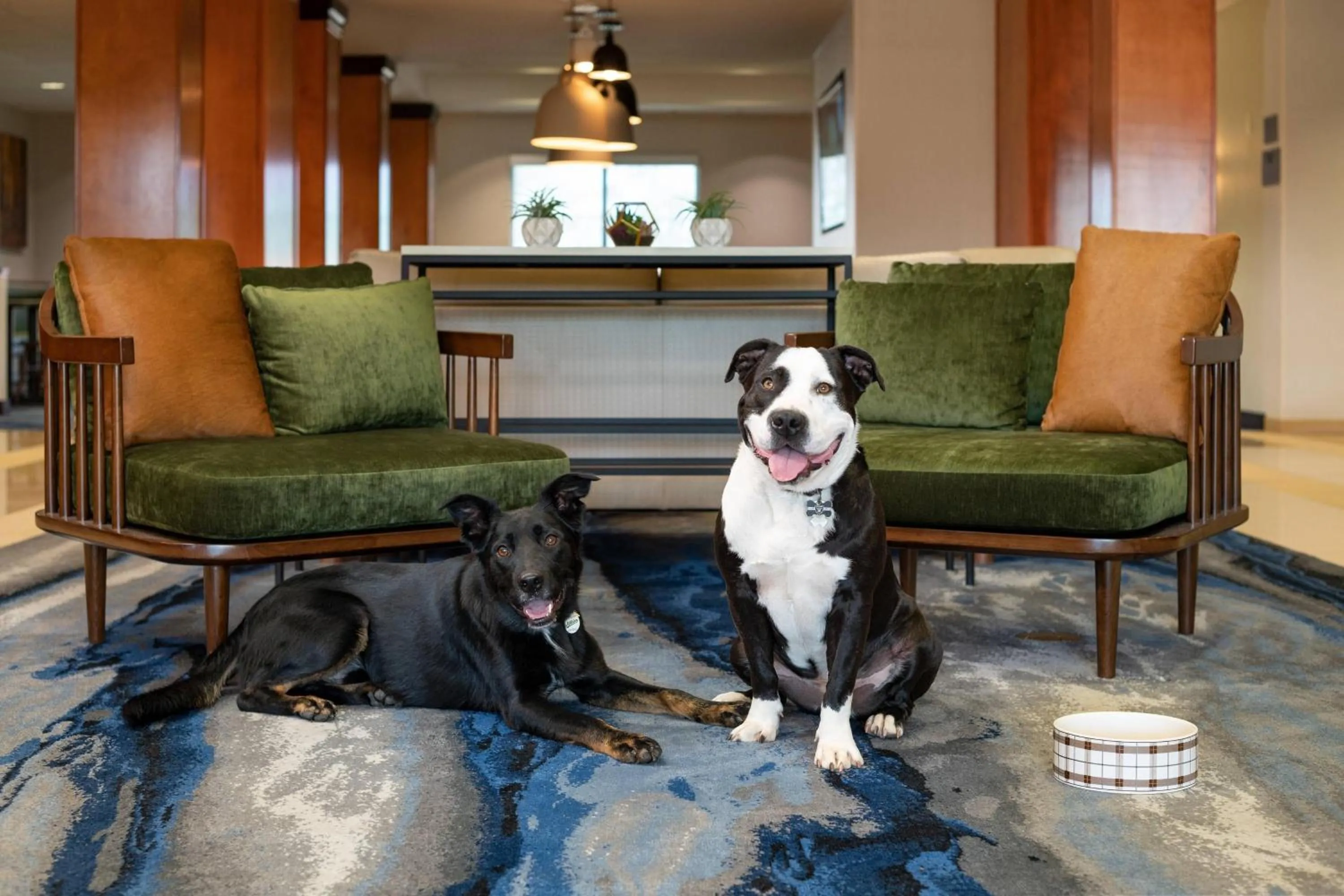 Other in Fairfield Inn & Suites Redding