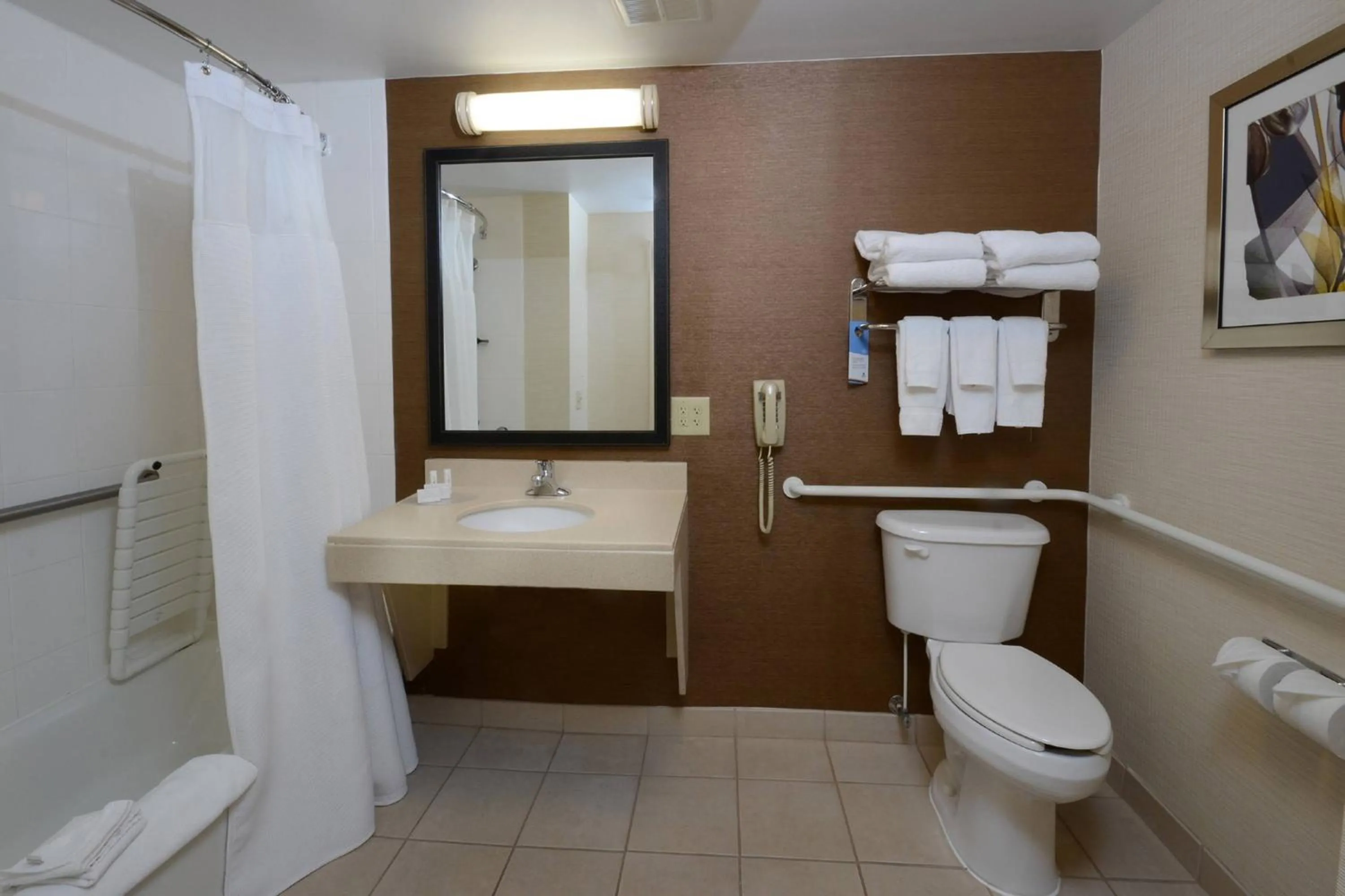 Bathroom in Fairfield Inn & Suites Roanoke Hollins/I-81