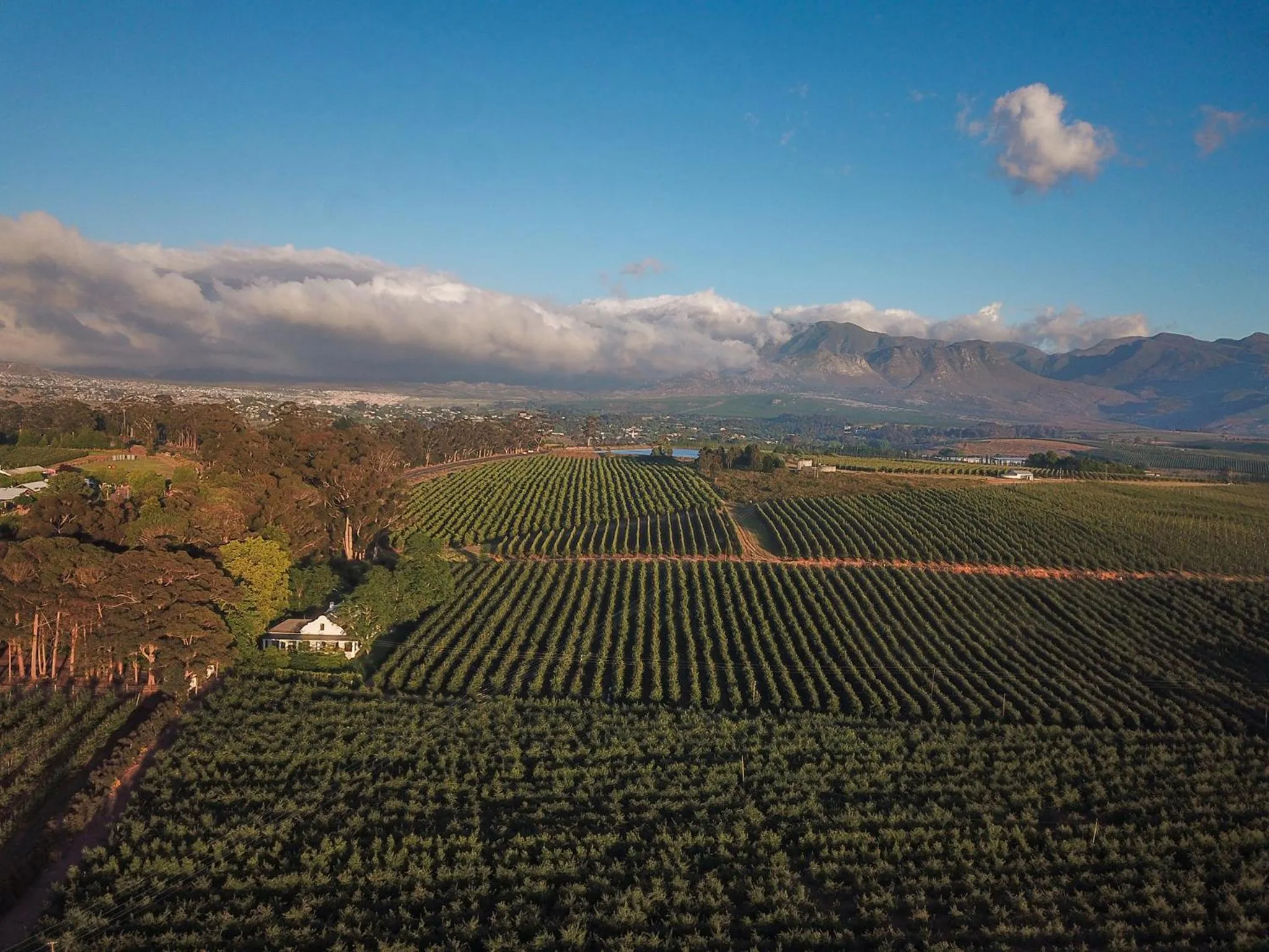 Bird's eye view in Elgin Country Lodge