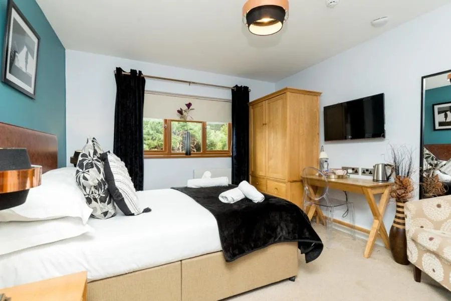 Photo of the whole room in The Gower Hotel