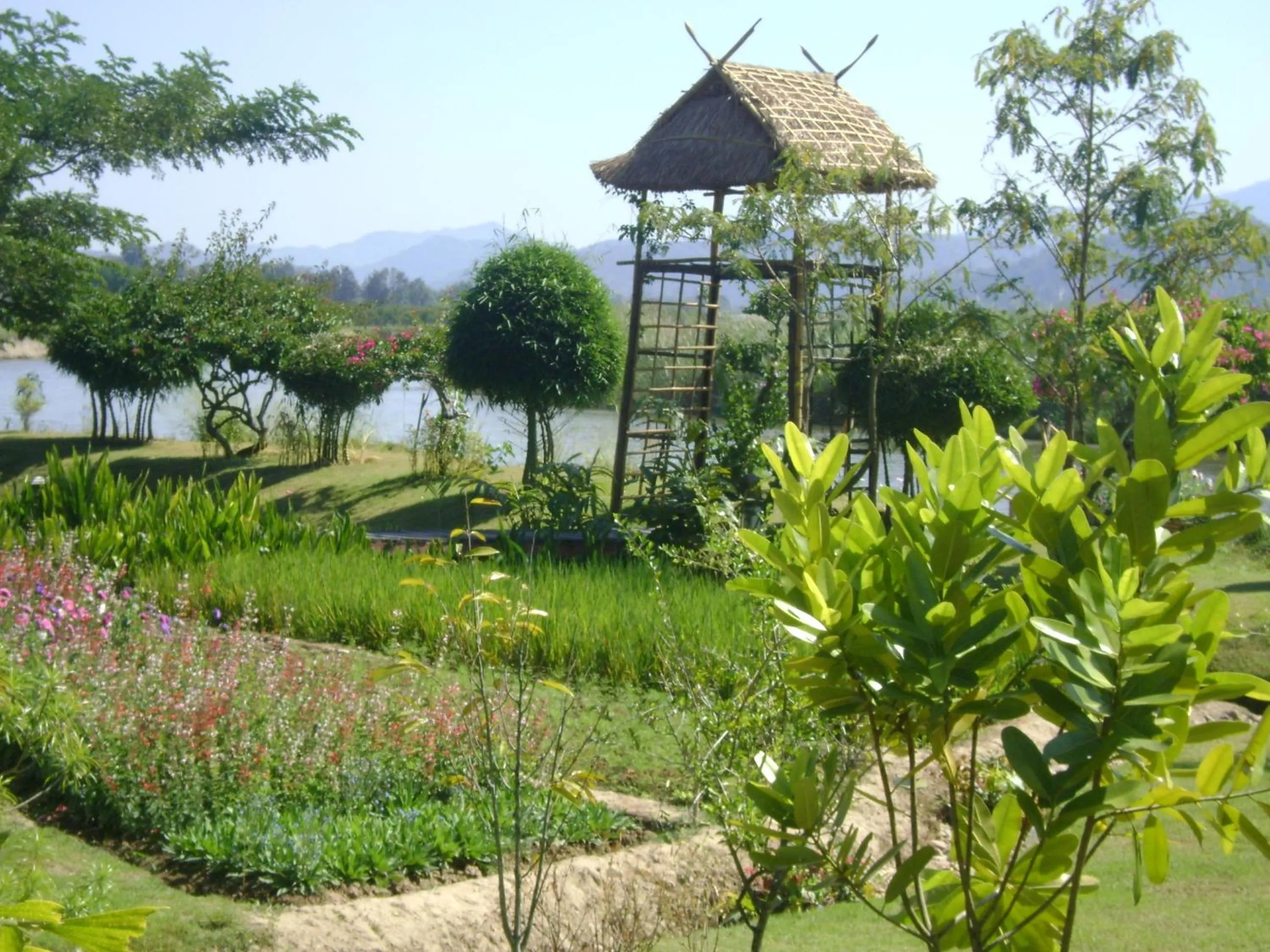 Other in Maekok River Village Resort