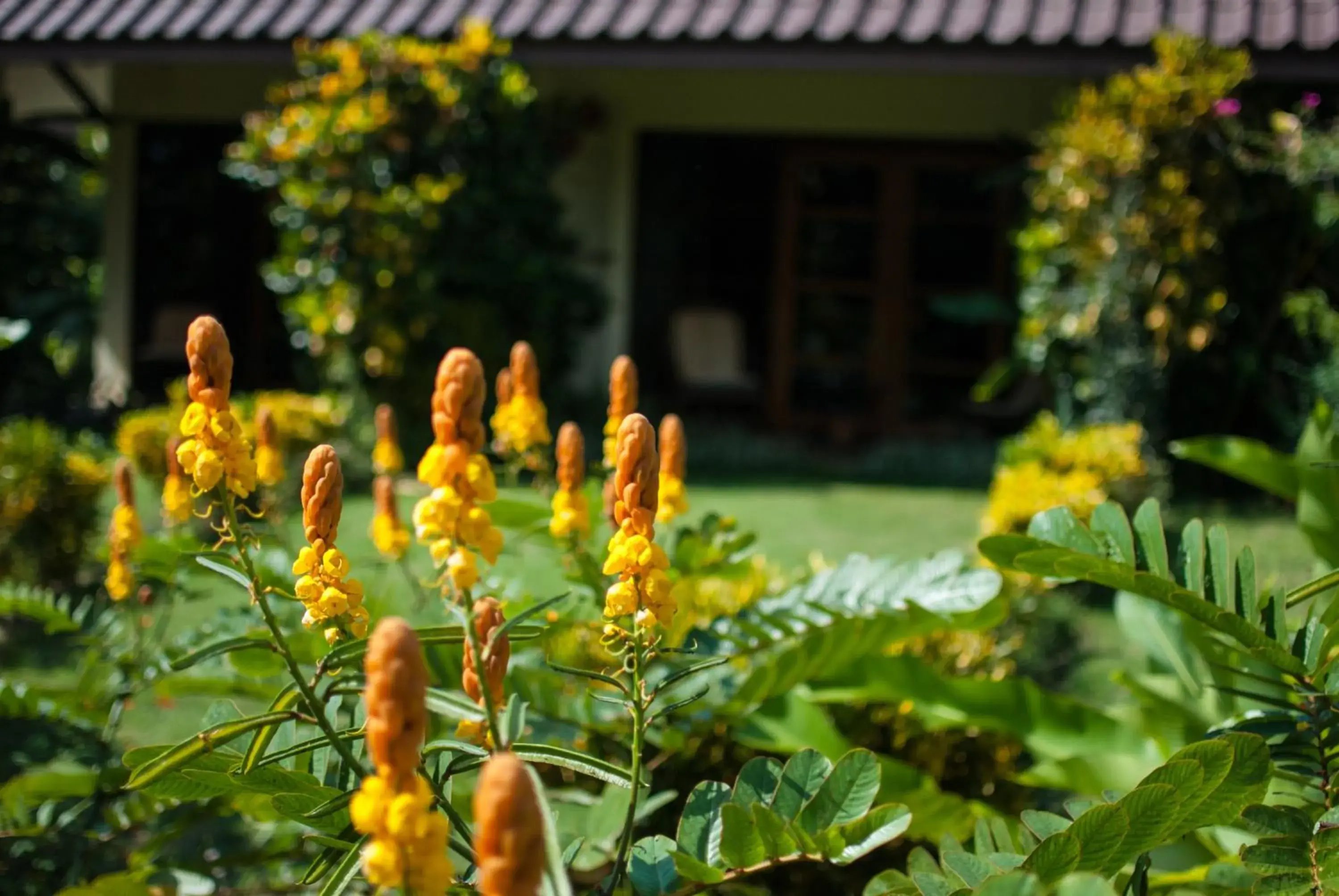 Deluxe Suite in Maekok River Village Resort Deluxe Suite in Maekok River Village Resort