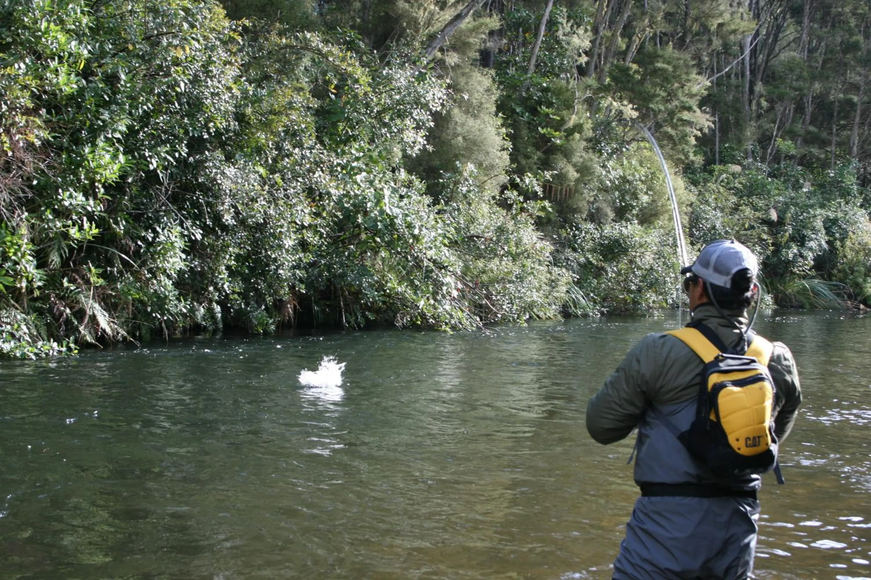 Area and facilities in Chelmswood Motel Taupo