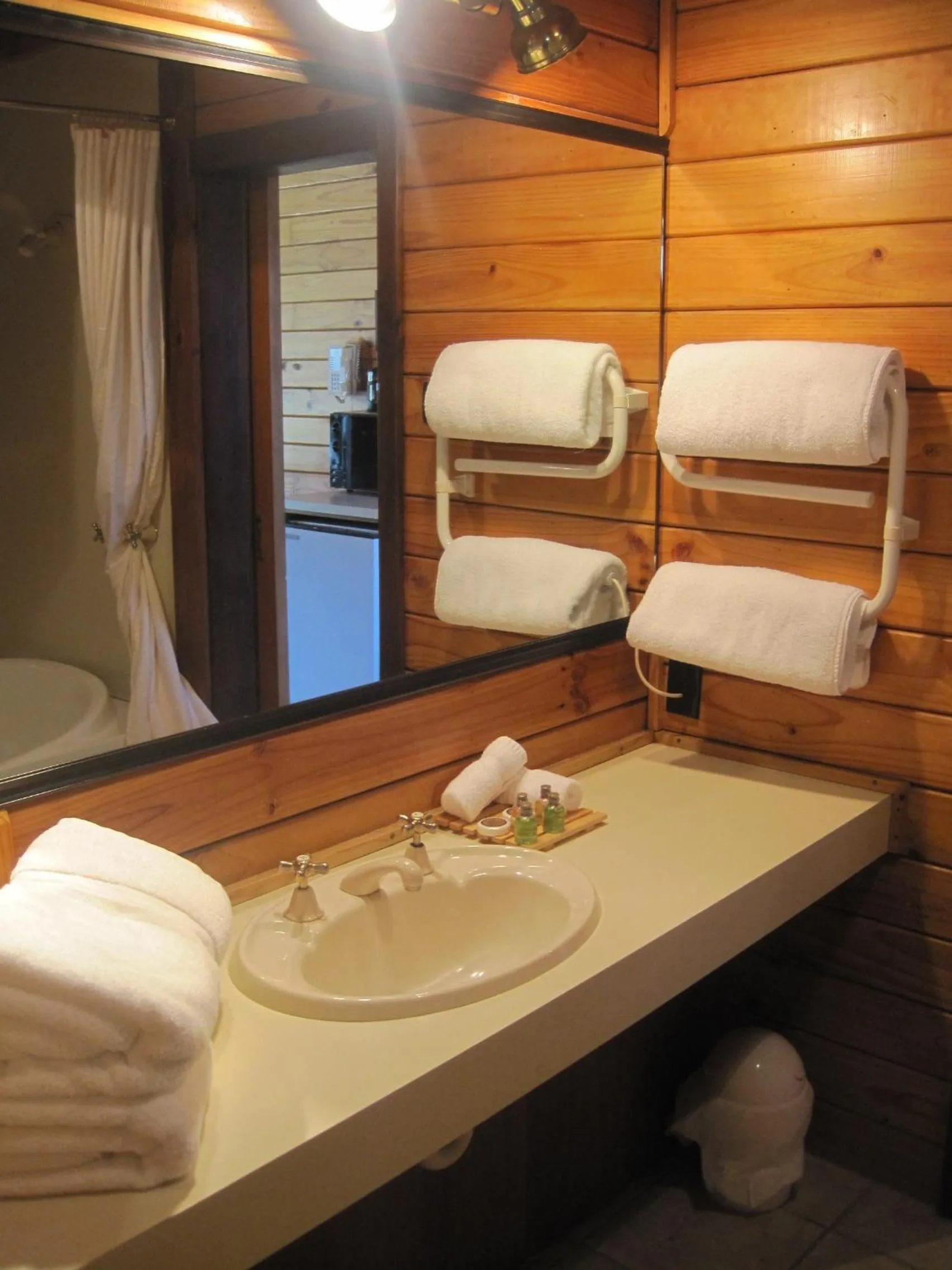 Bathroom in Alpine Lodge Motel