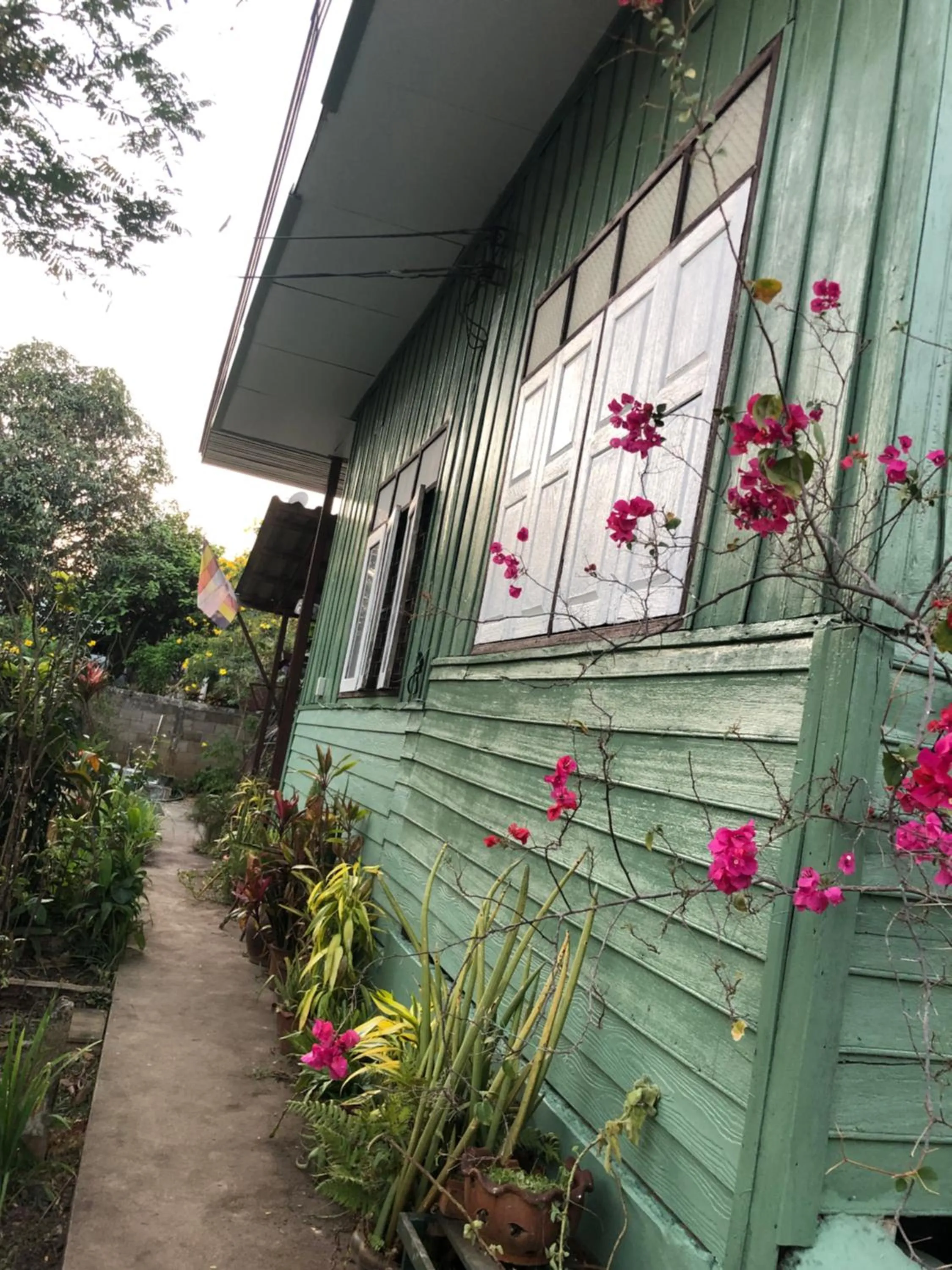 Baan Bua Guest House