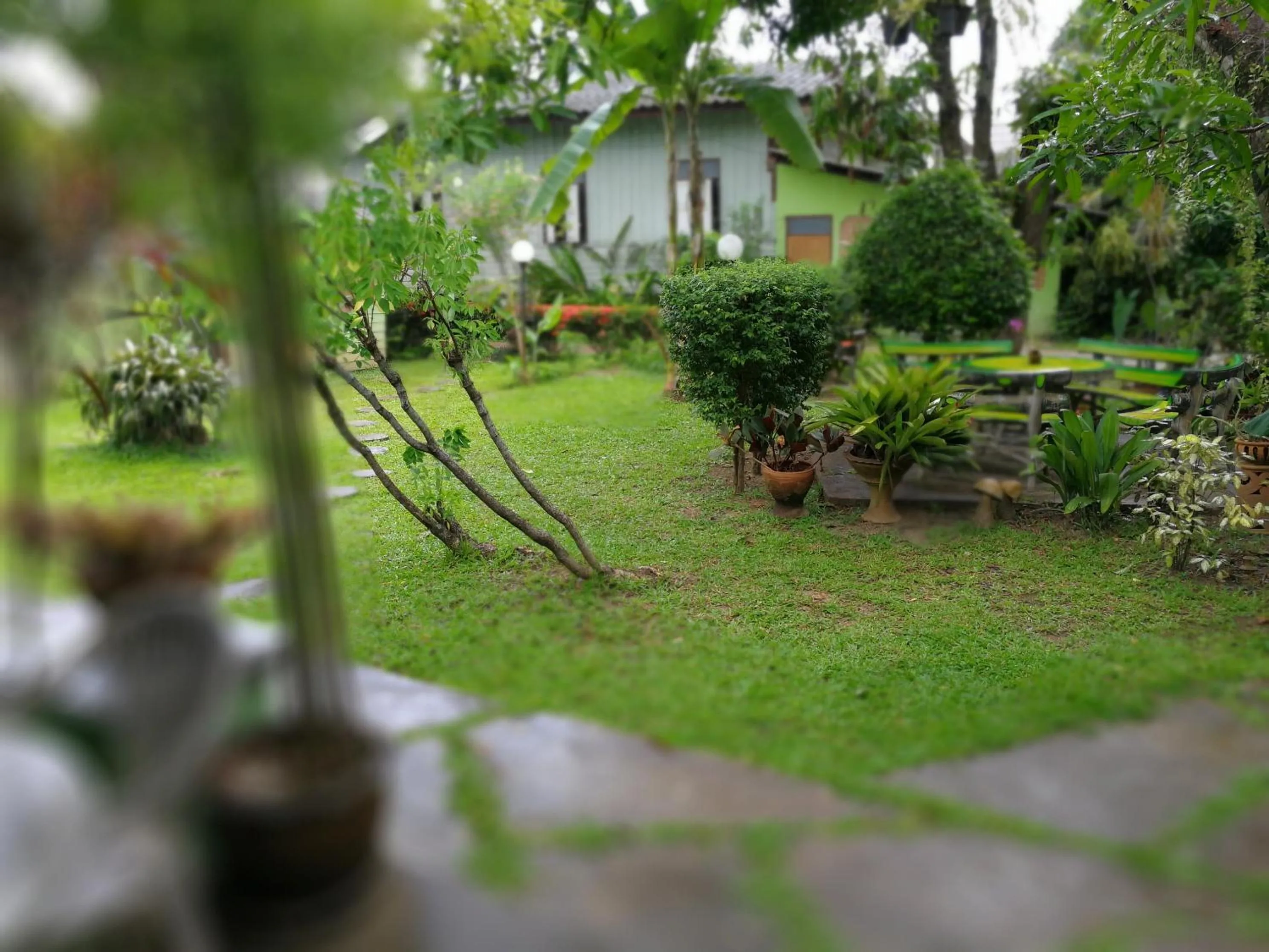 Garden in Baan Bua Guest House