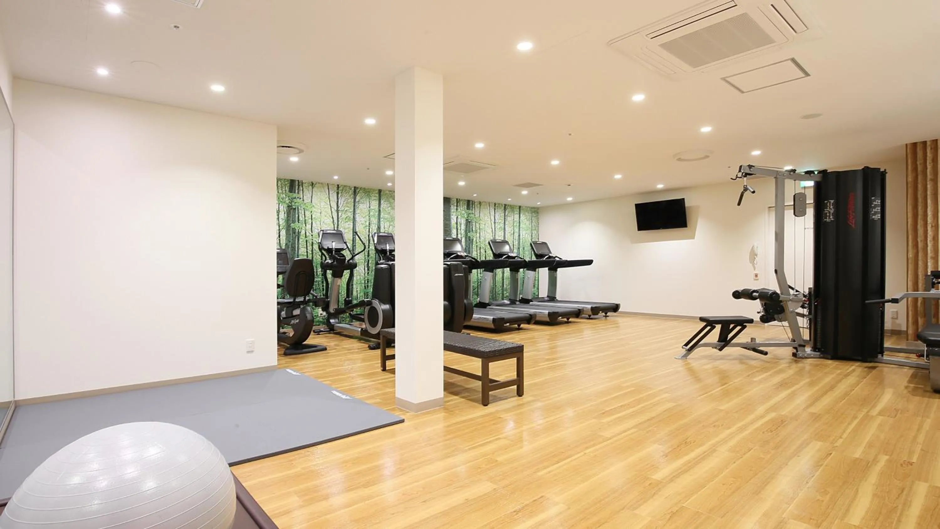 Fitness centre/facilities in ANA Crowne Plaza Sapporo by IHG