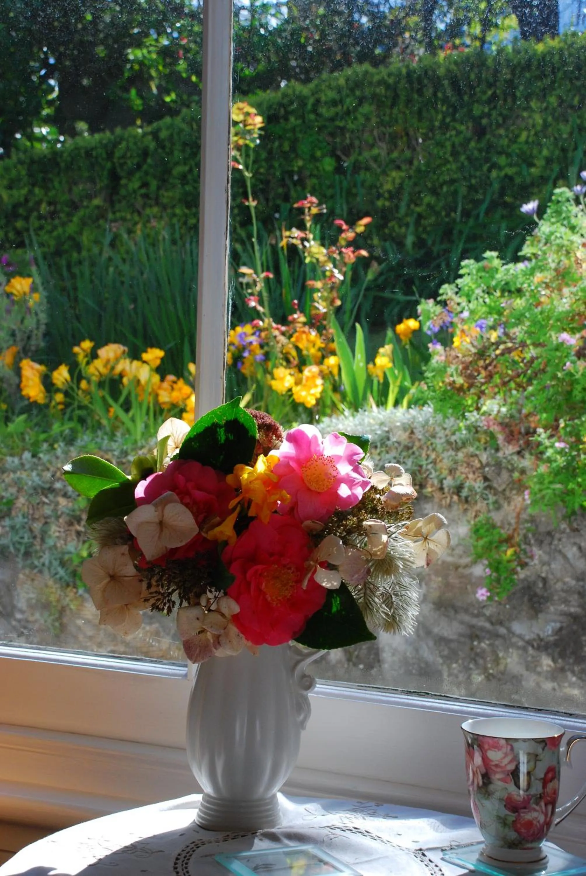 Garden view in Cobden Garden