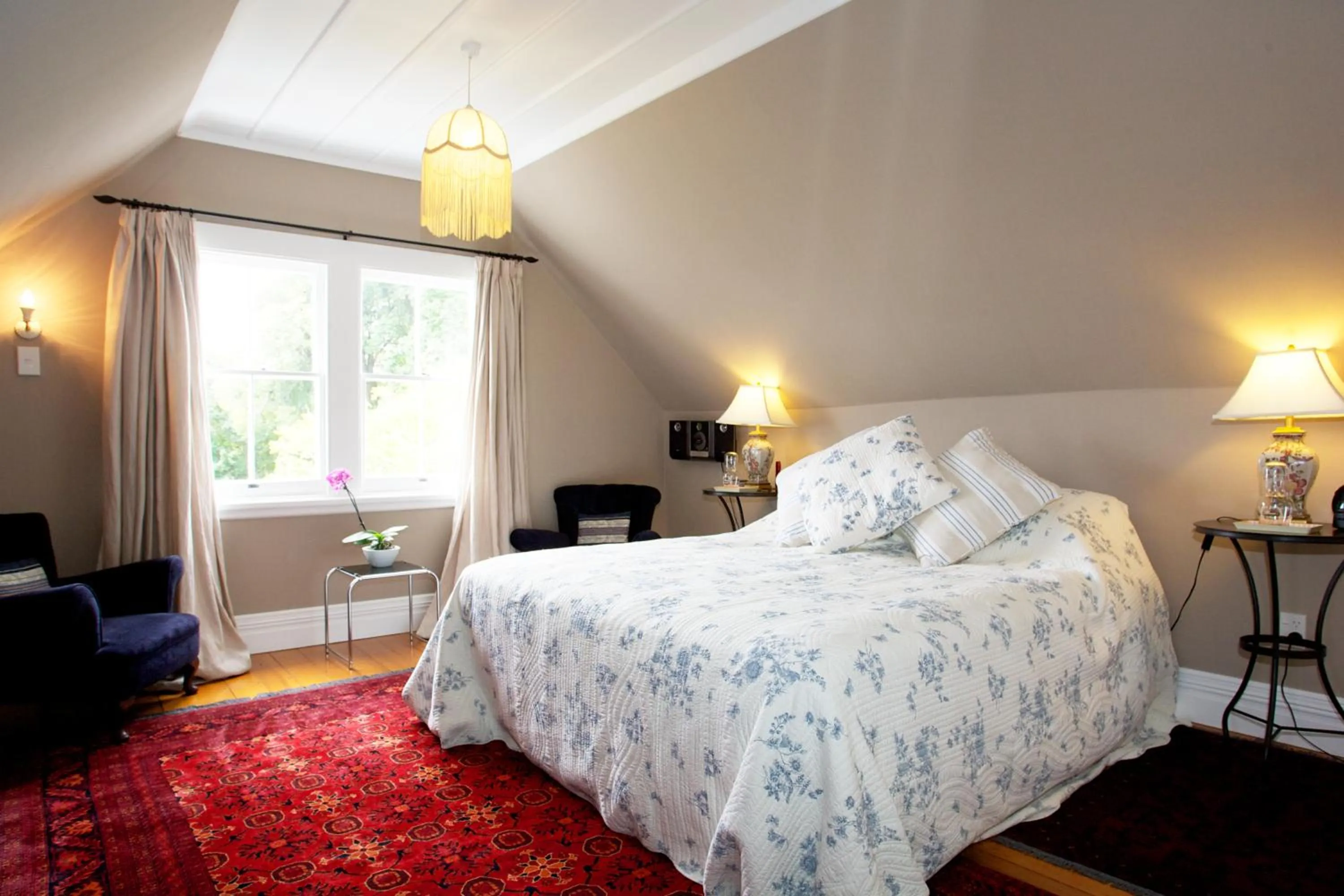 Bed in Cobden Garden