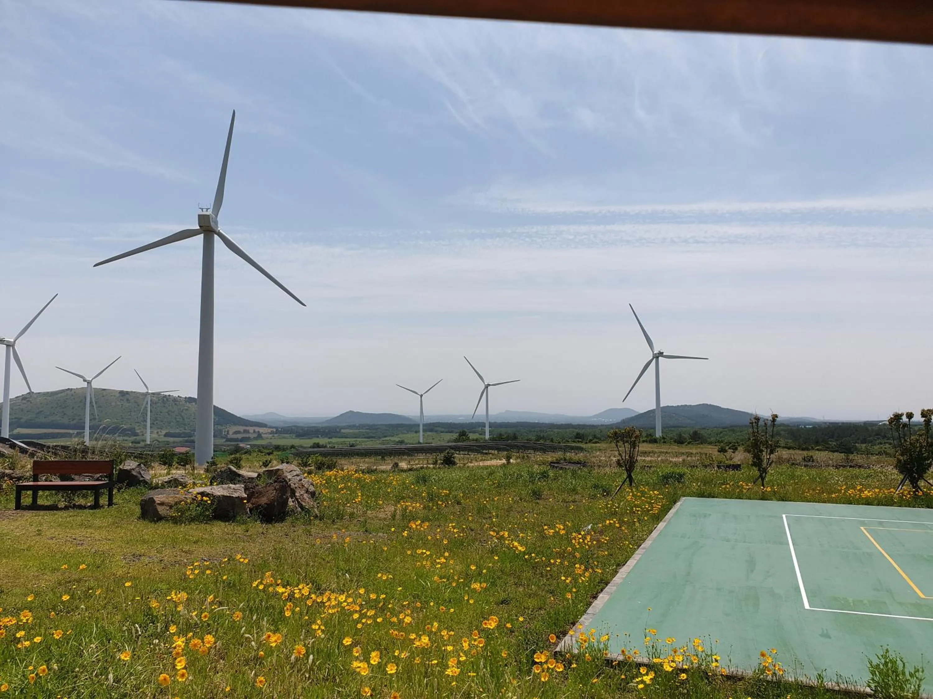 Natural landscape in Brassica Flower Pension