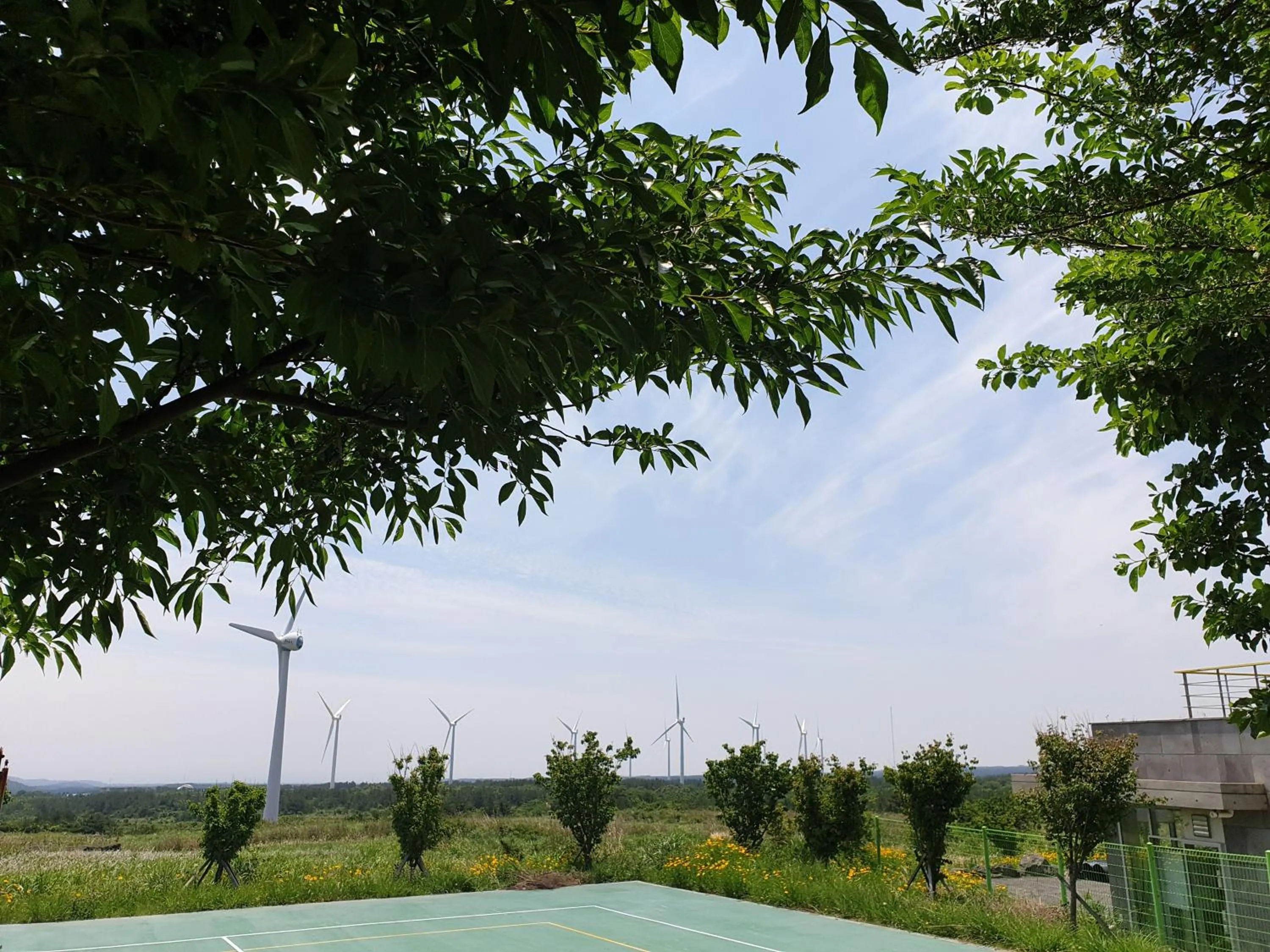 Natural landscape in Brassica Flower Pension