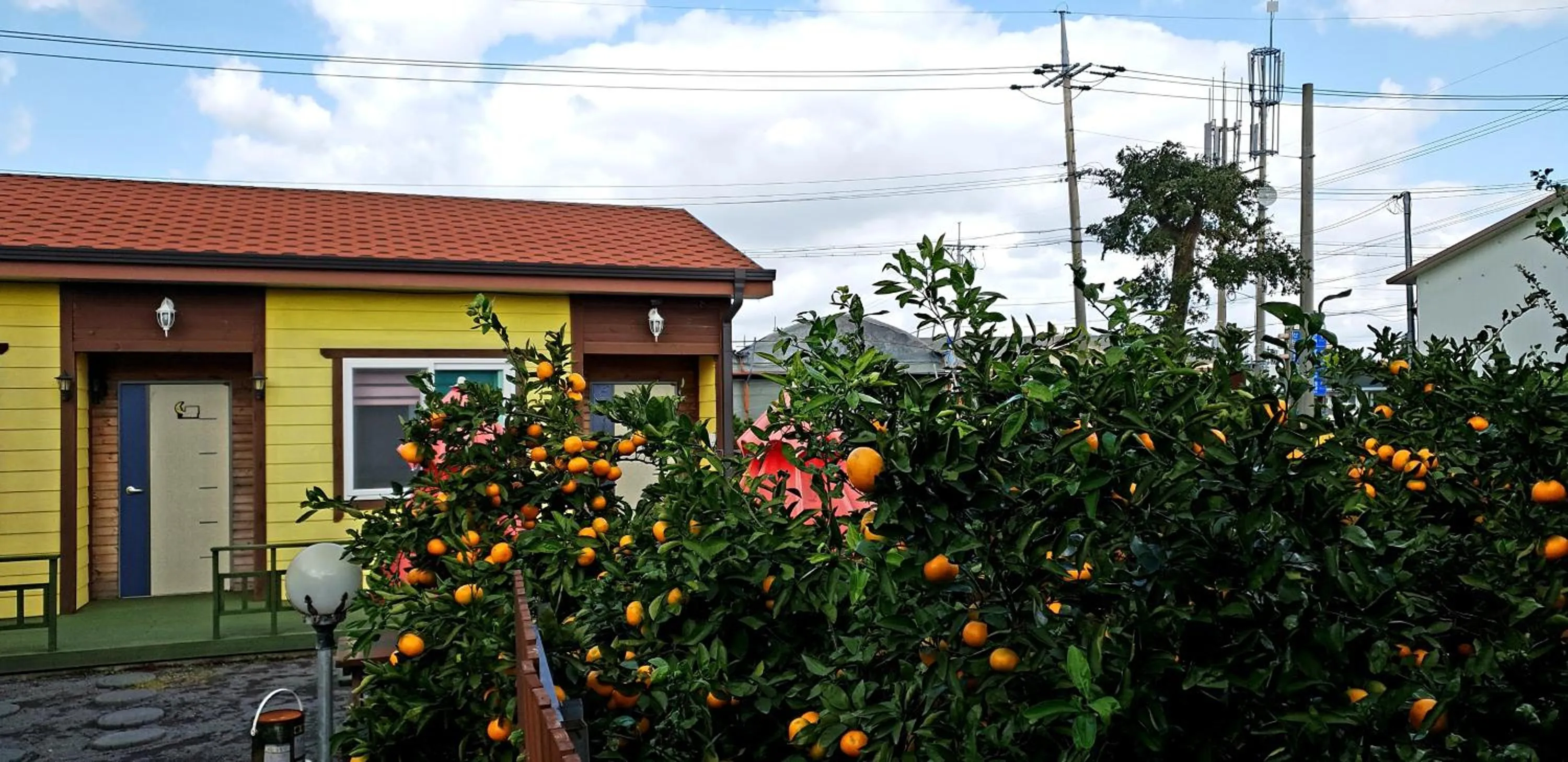 Garden view in Brassica Flower Pension