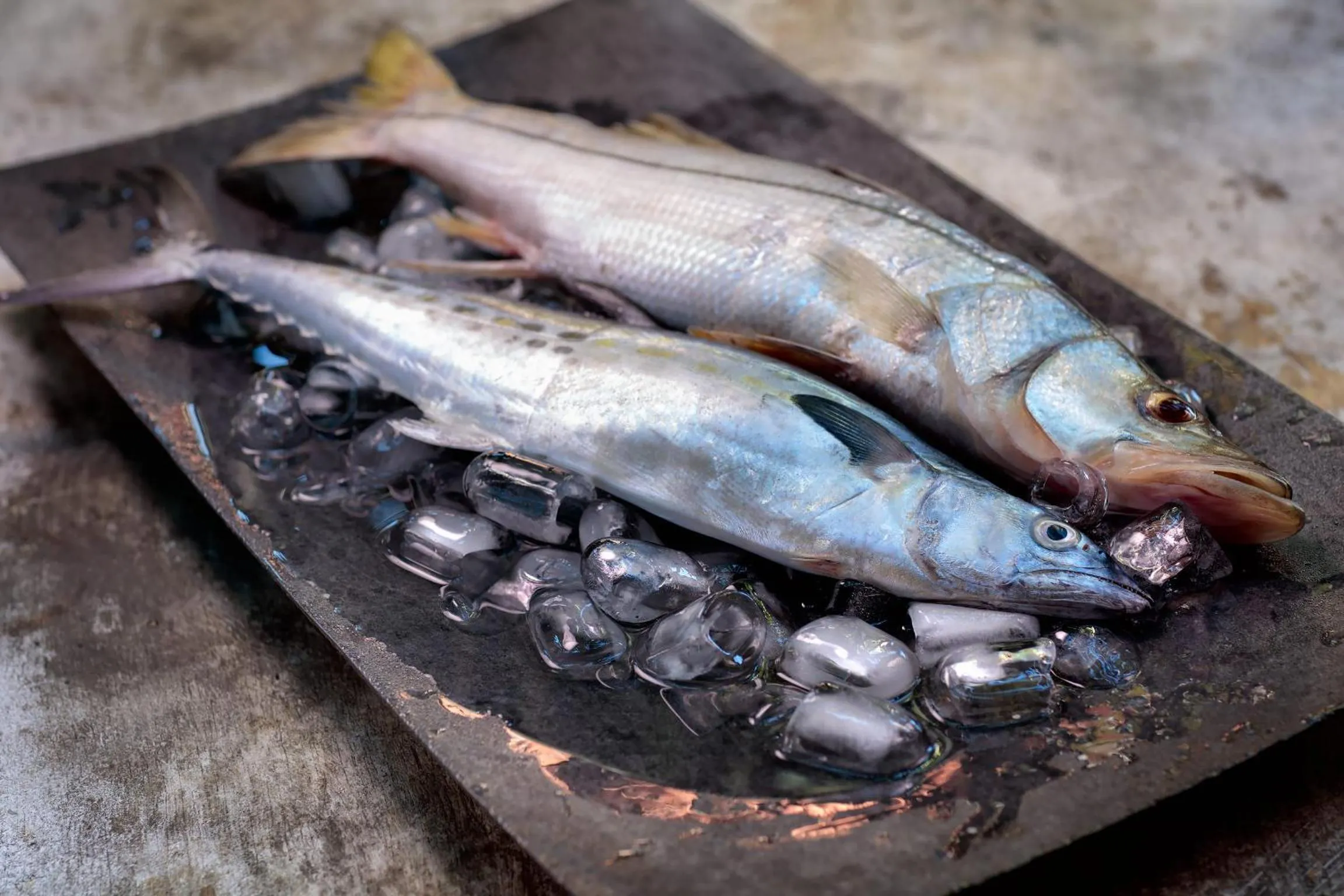 Food close-up in Casa de Areia