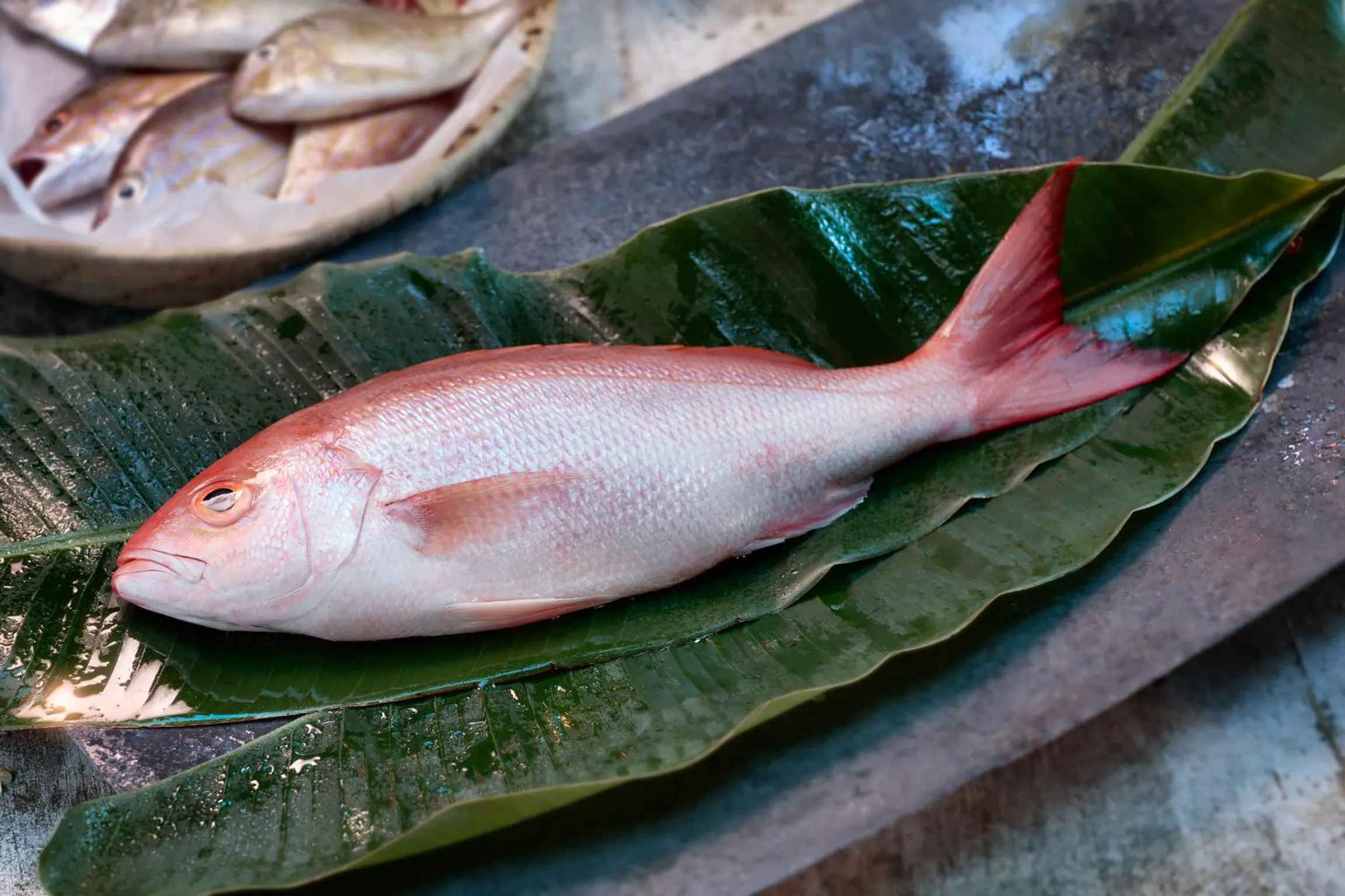 Food close-up in Casa de Areia