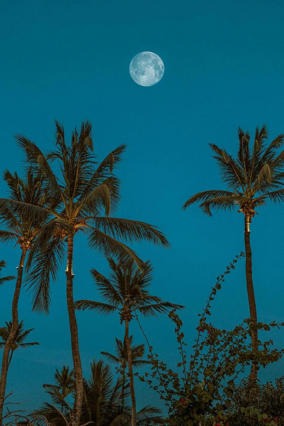 Natural landscape in Casa de Areia