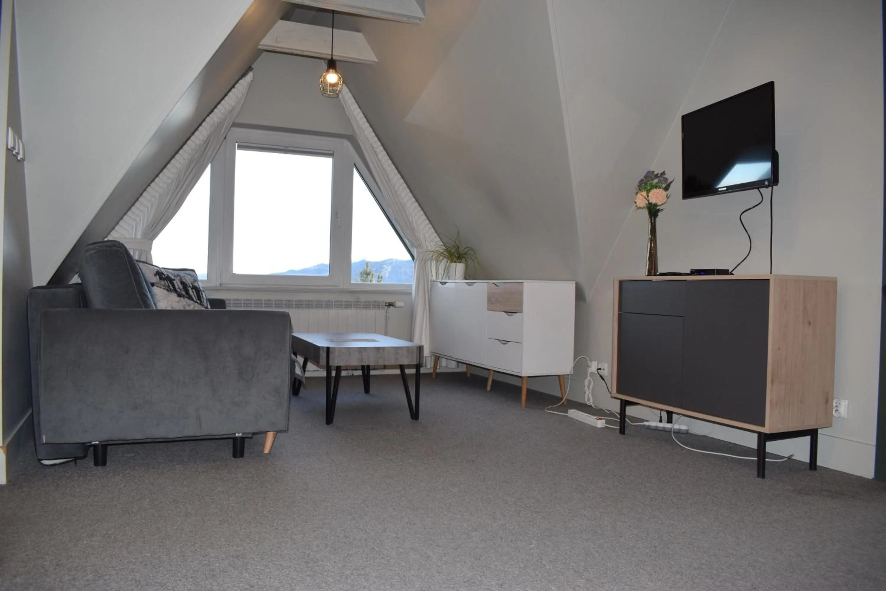 TV and multimedia in Panorama Premium