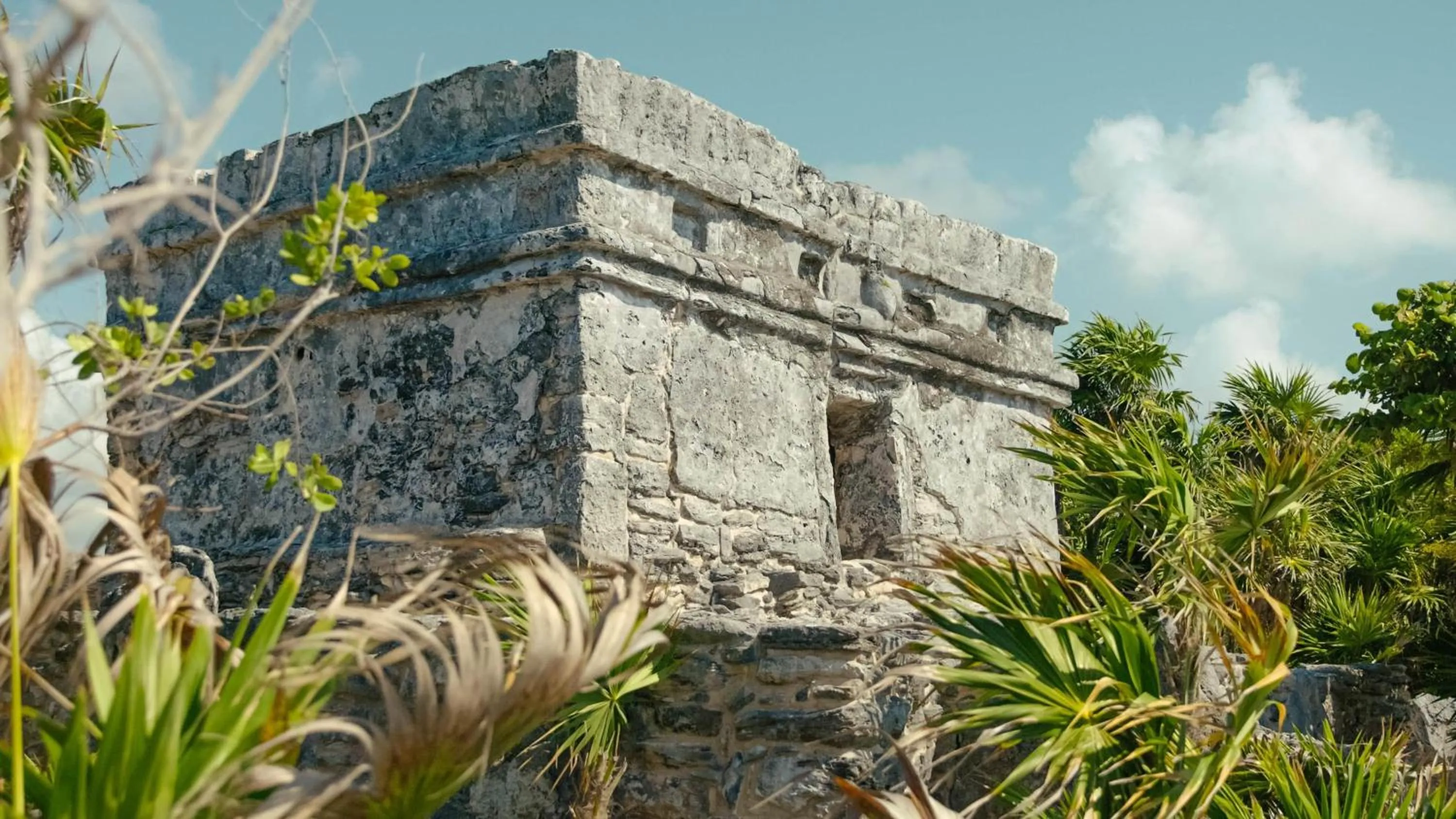 Property building in Occidental at Xcaret Destination - All Inclusive