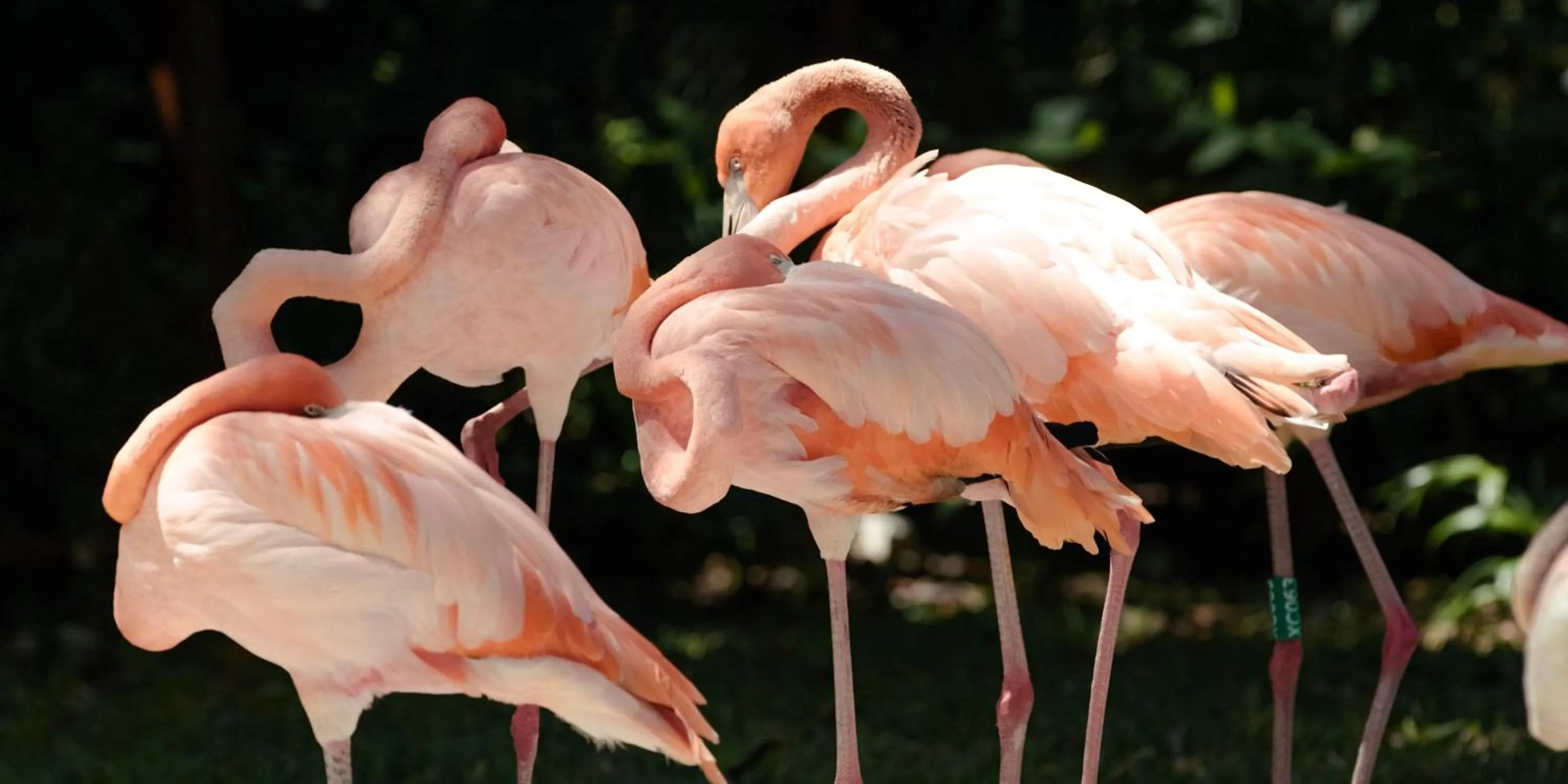 Property building in Occidental at Xcaret Destination - All Inclusive