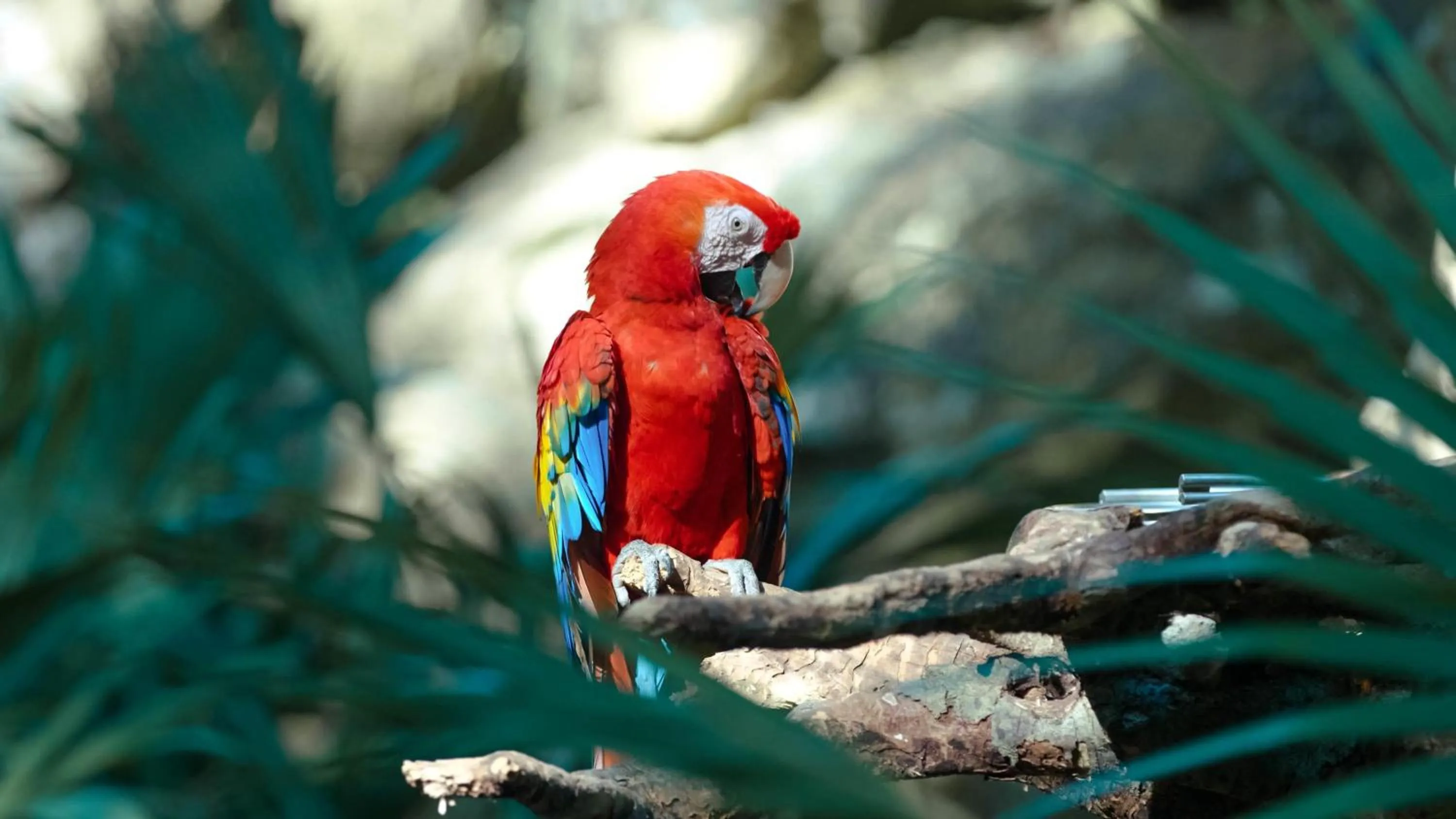 Property building in Occidental at Xcaret Destination - All Inclusive