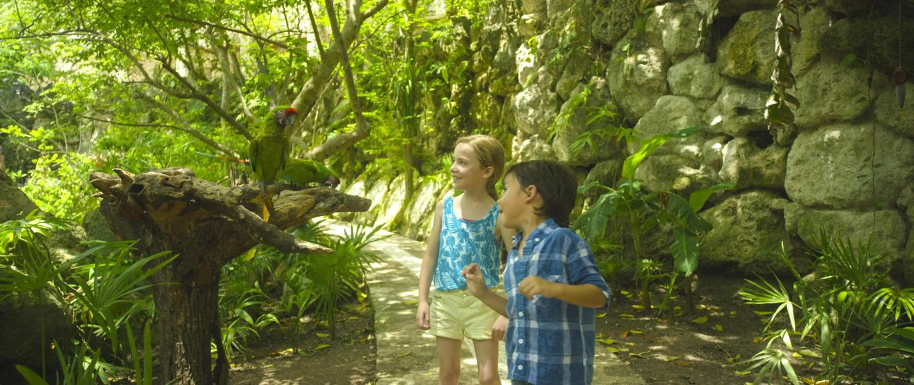 Property building in Occidental at Xcaret Destination - All Inclusive