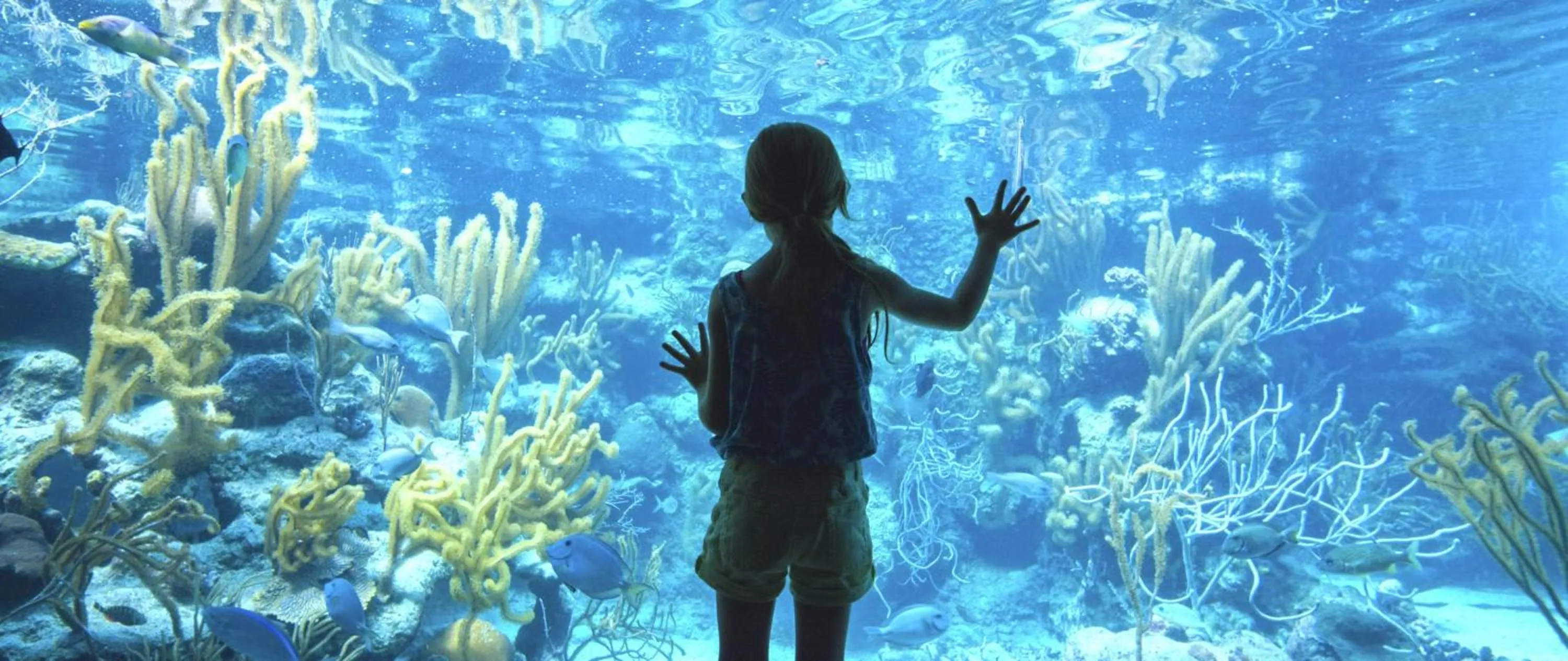 Property building in Occidental at Xcaret Destination - All Inclusive