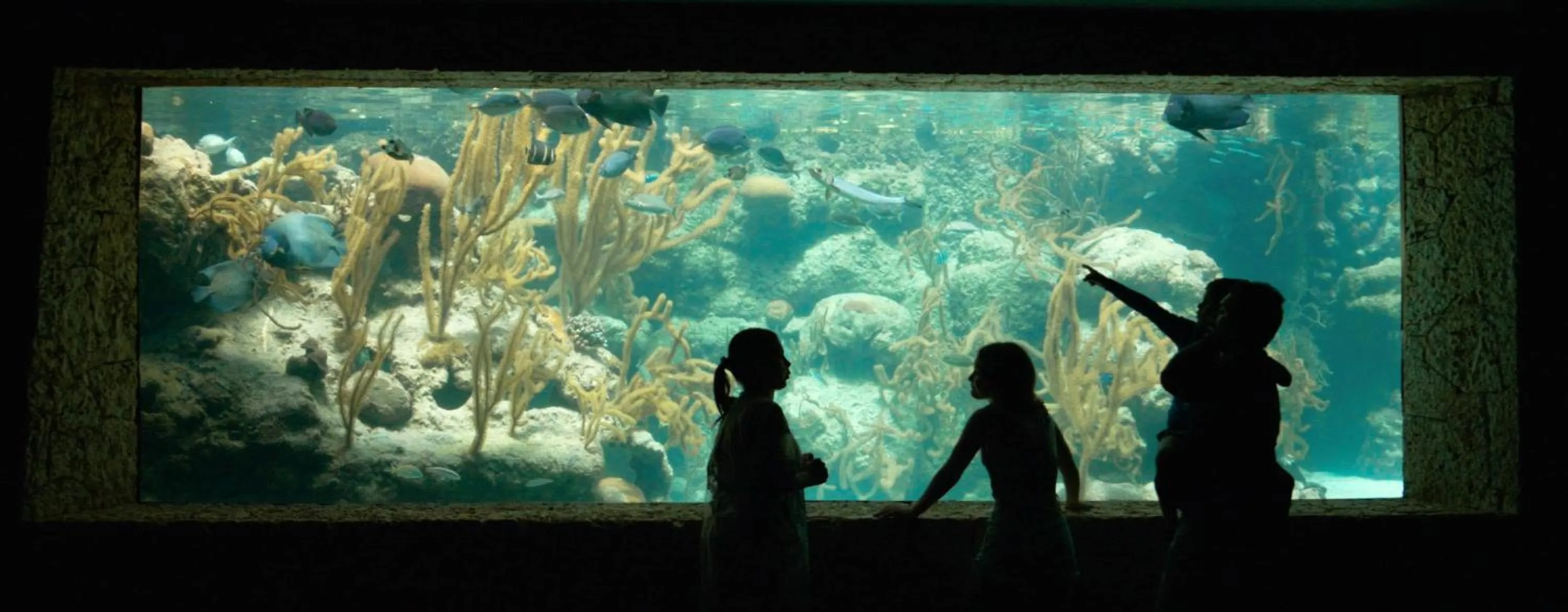 Property building in Occidental at Xcaret Destination - All Inclusive