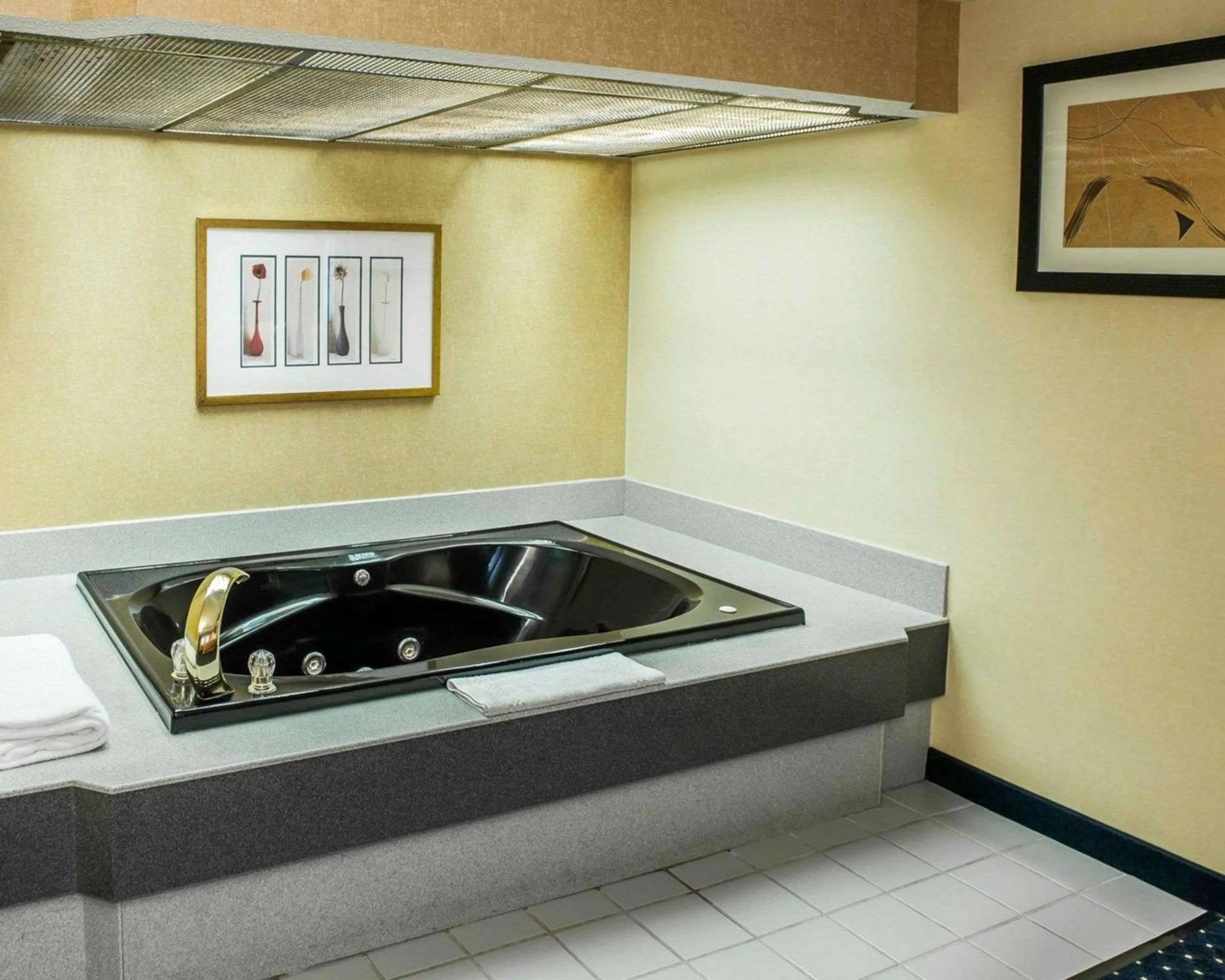 Bedroom in Quality Inn & Suites Goshen