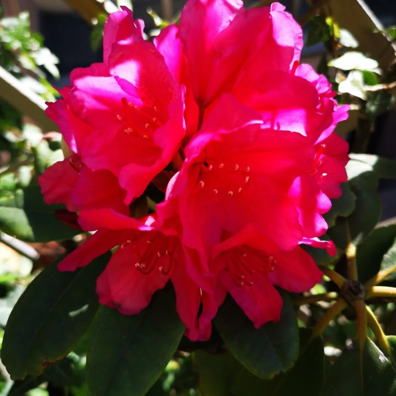 Bird's eye view in B&B La Ducale