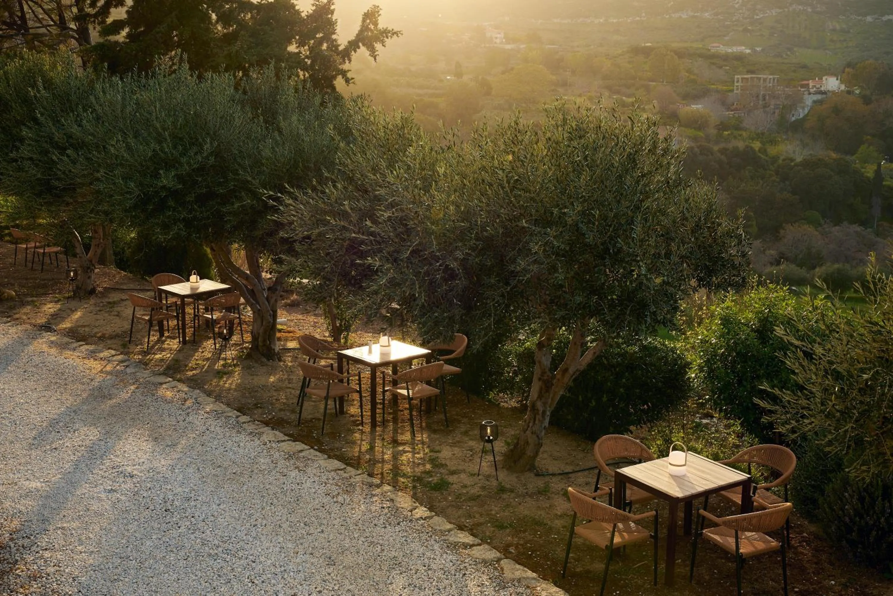 Garden in Eliathos Hillside Retreat