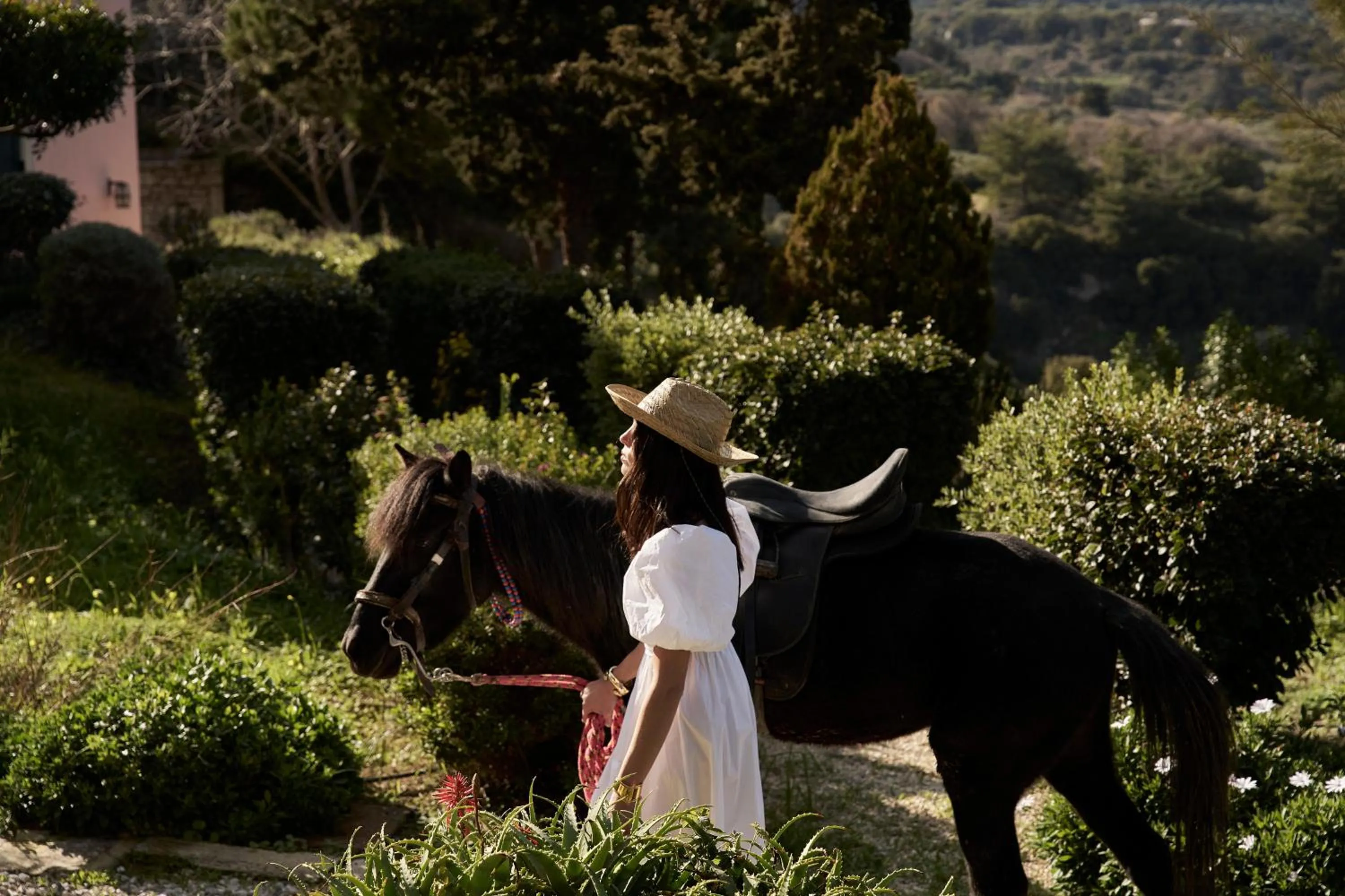 Pets in Eliathos Hillside Retreat