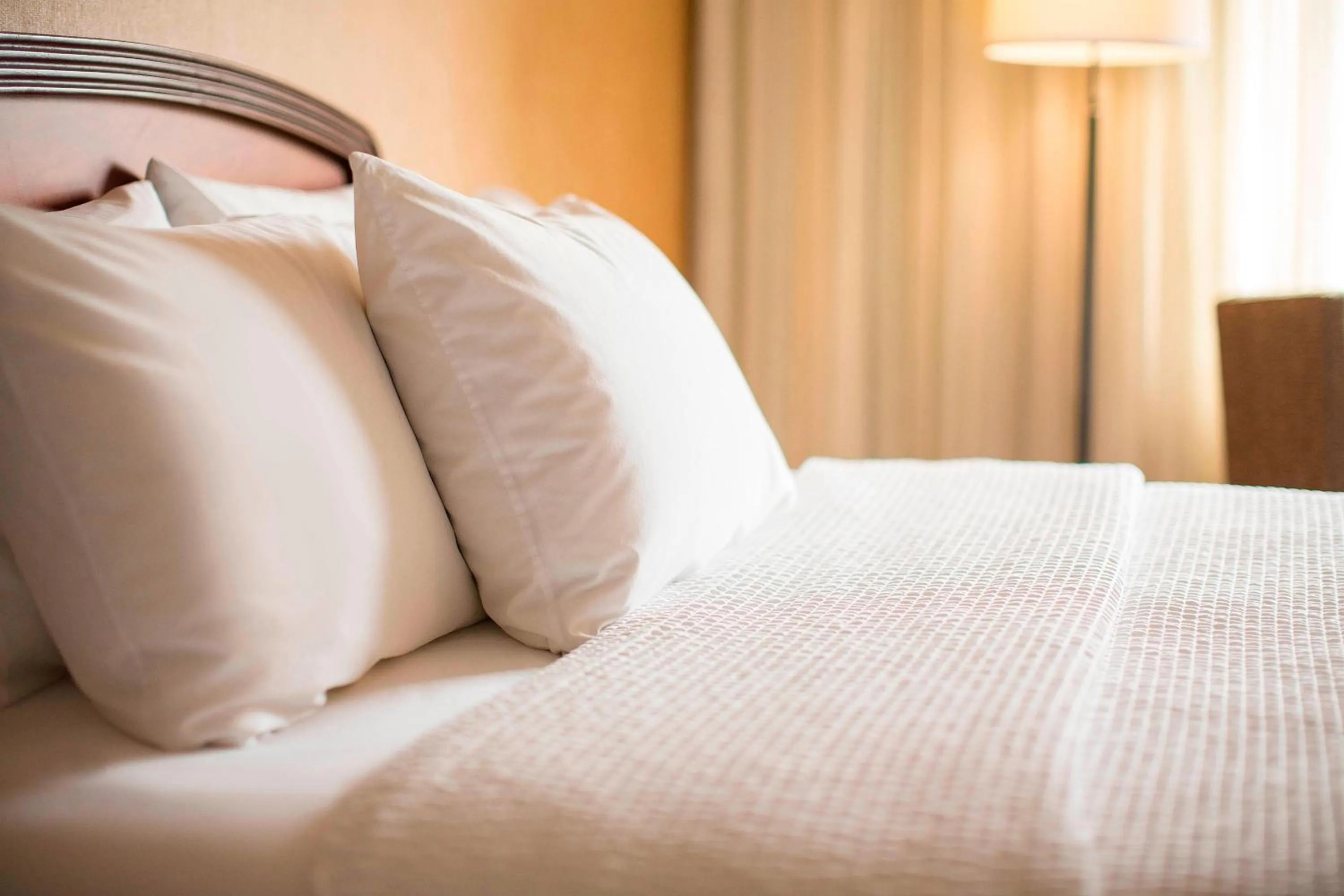 Bedroom, Bed in Courtyard Seattle North / Lynnwood Everett