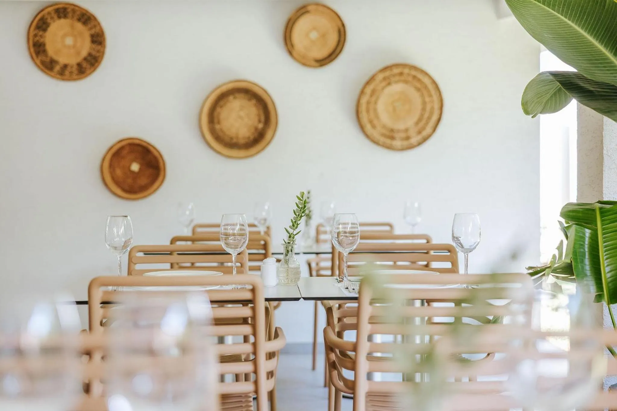 Restaurant/places to eat in Nissi Park Hotel