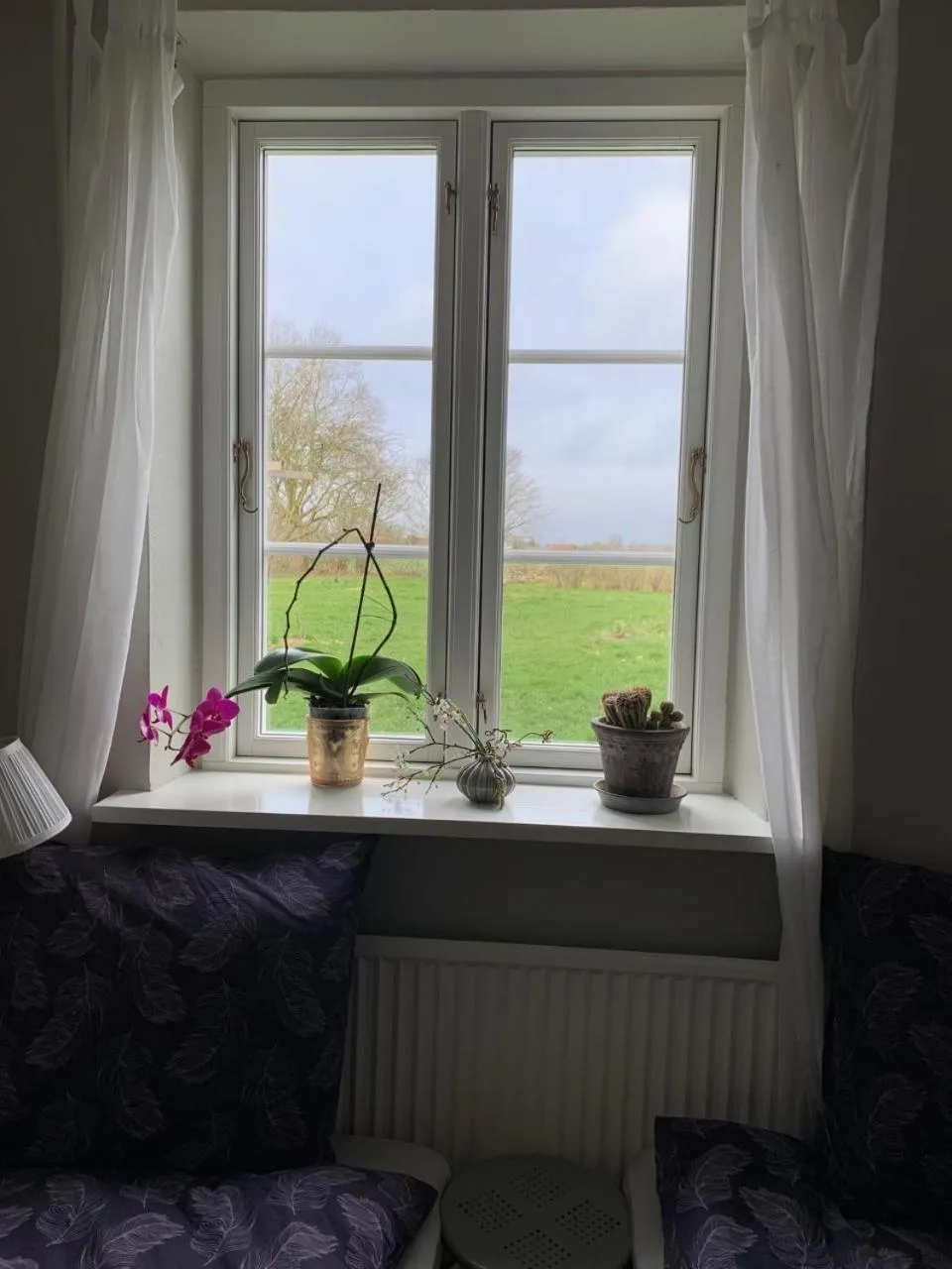 Garden view in Hørhaven B&B