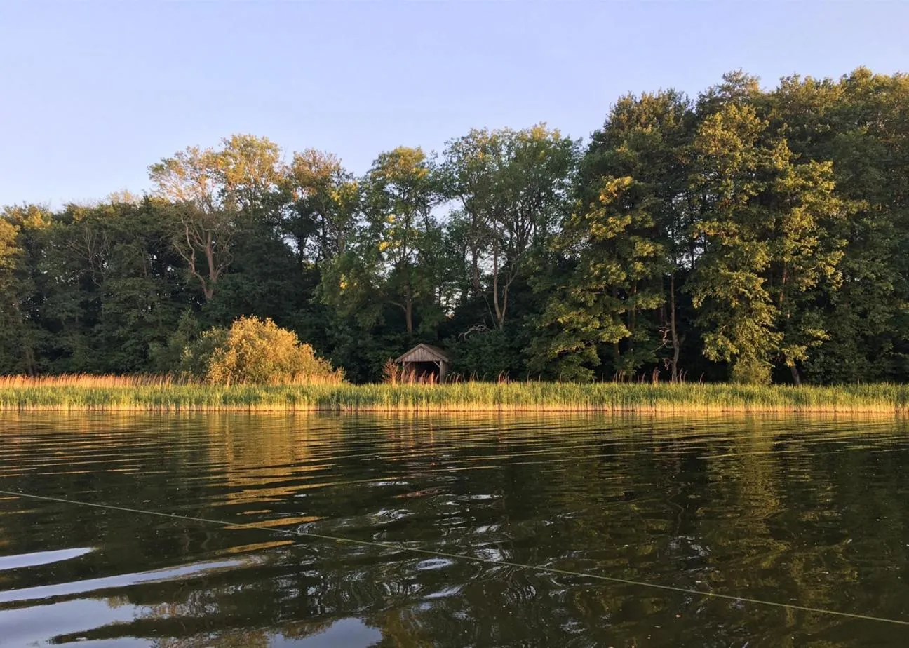 Natural landscape in Hørhaven B&B