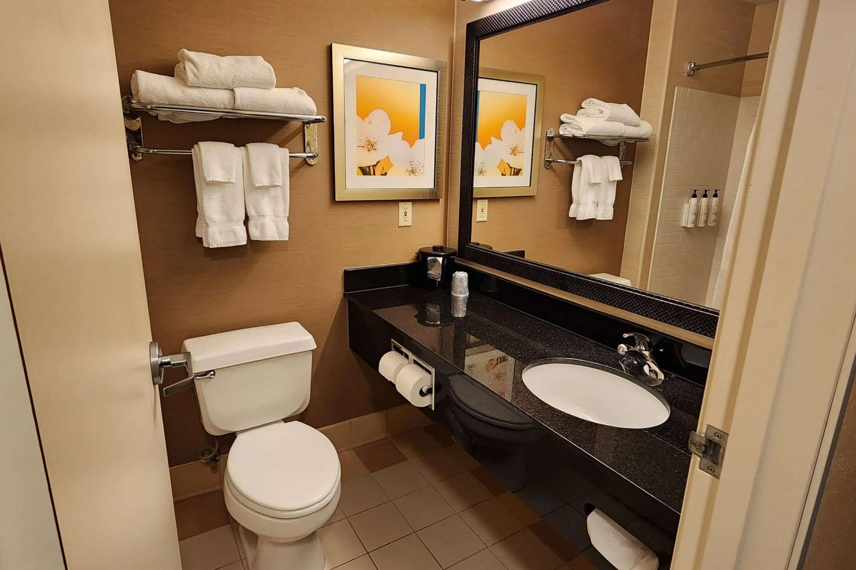 TV and multimedia in AmericInn by Wyndham St Cloud MN Shopping Area