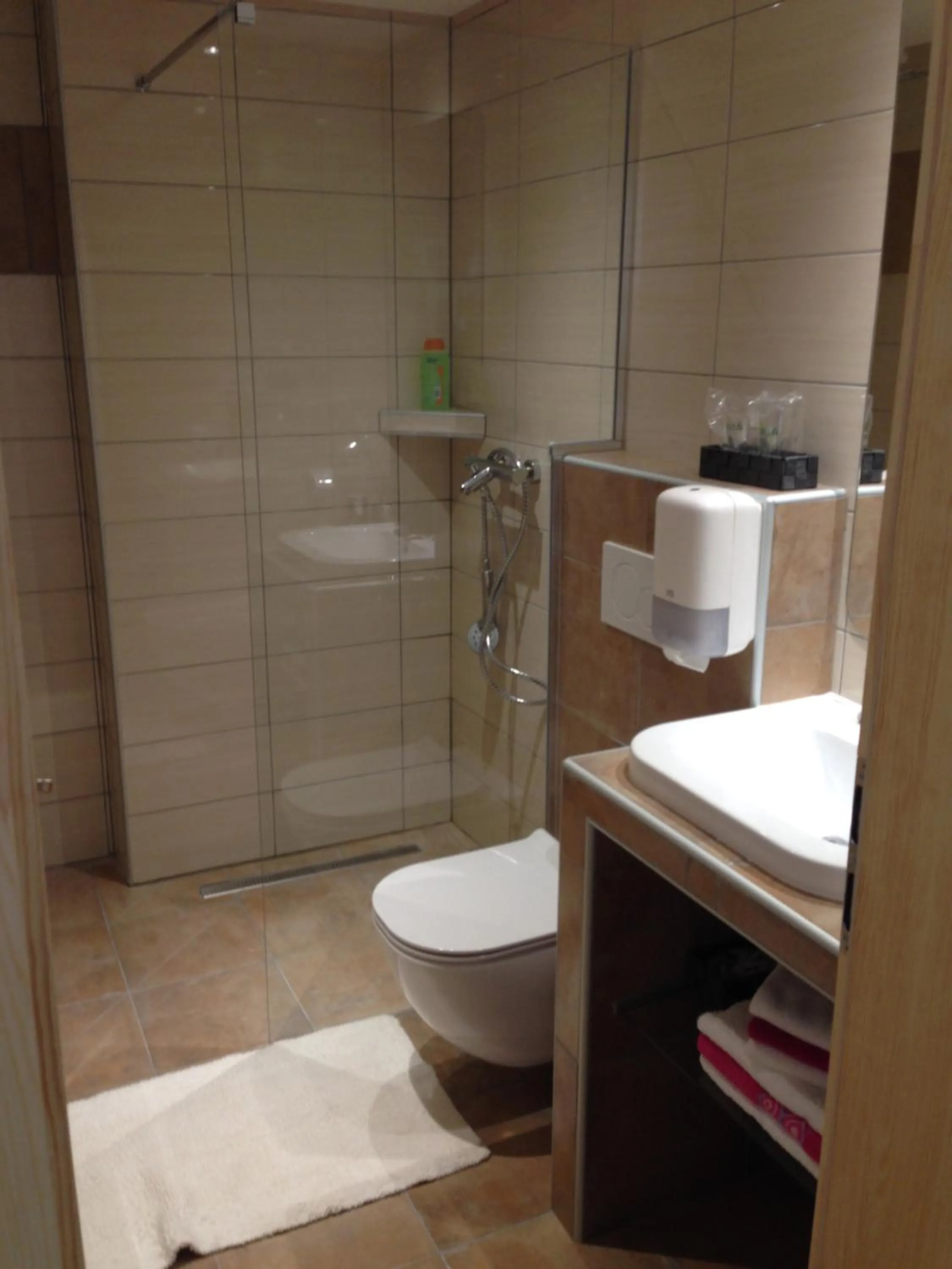 Shower in Aparthotel Pr' Jakapč'