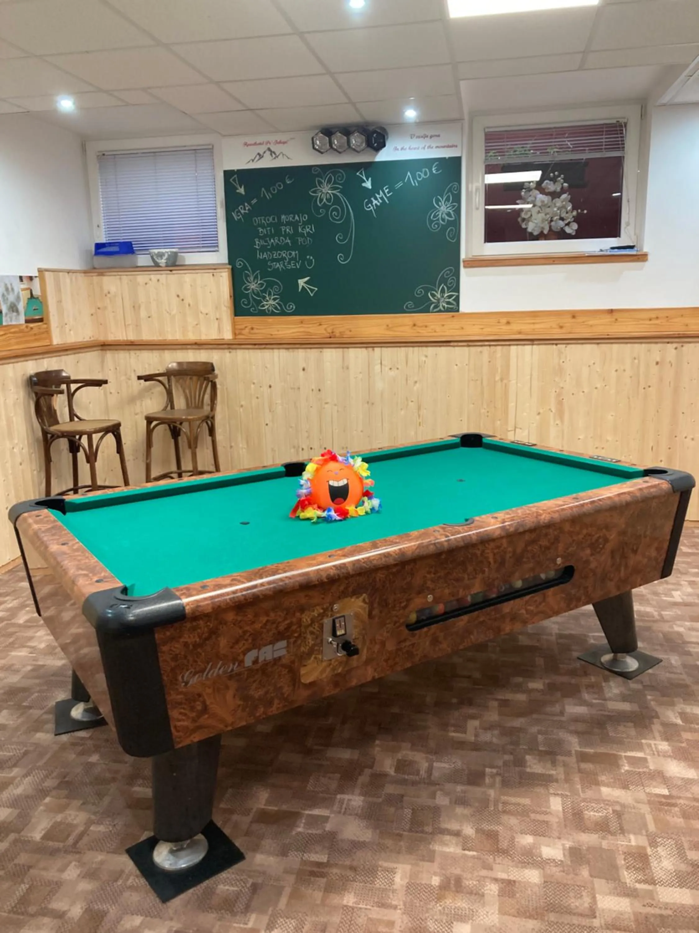 Game Room in Aparthotel Pr' Jakapč'
