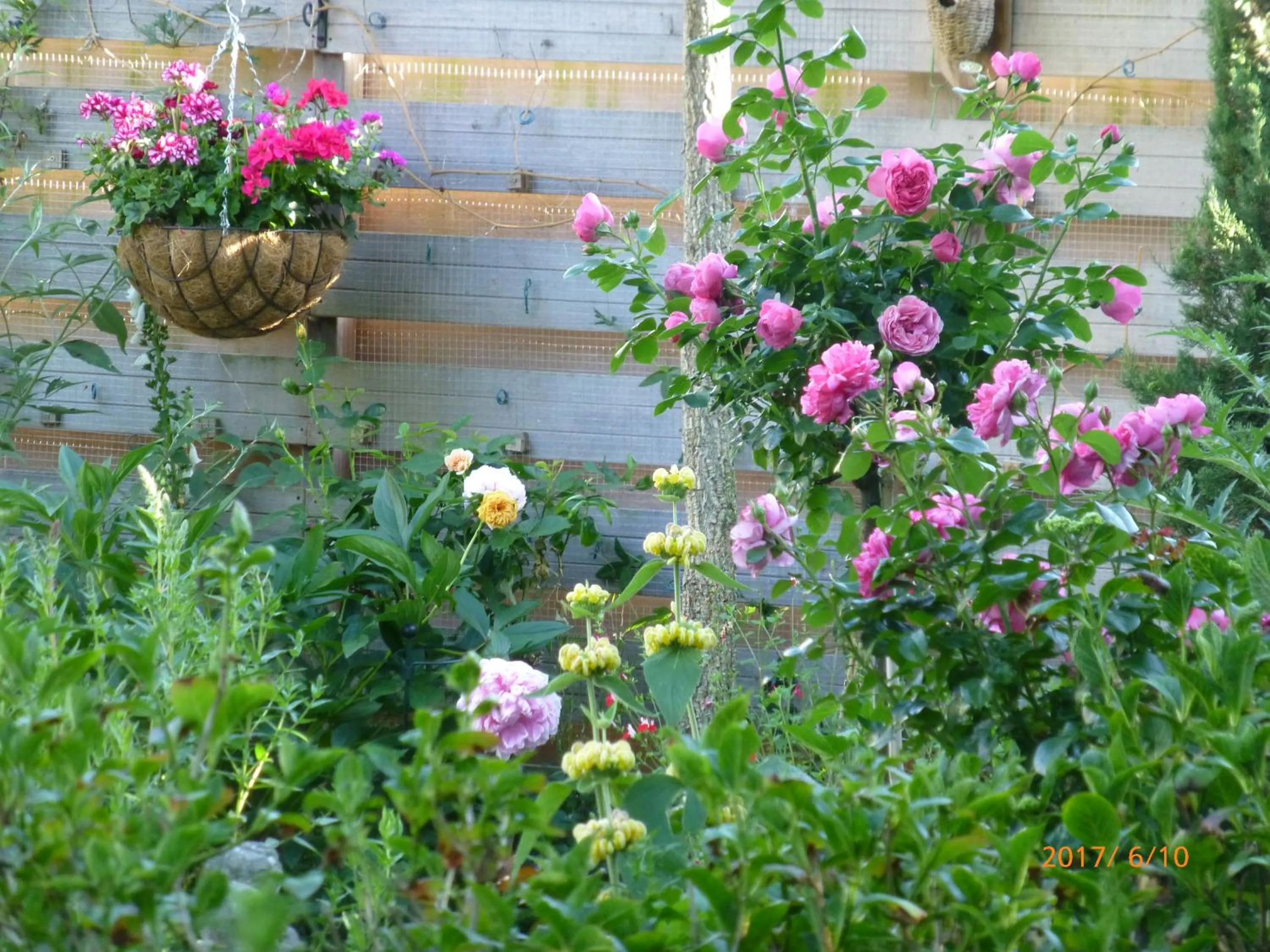 Garden view in Wiersse 68