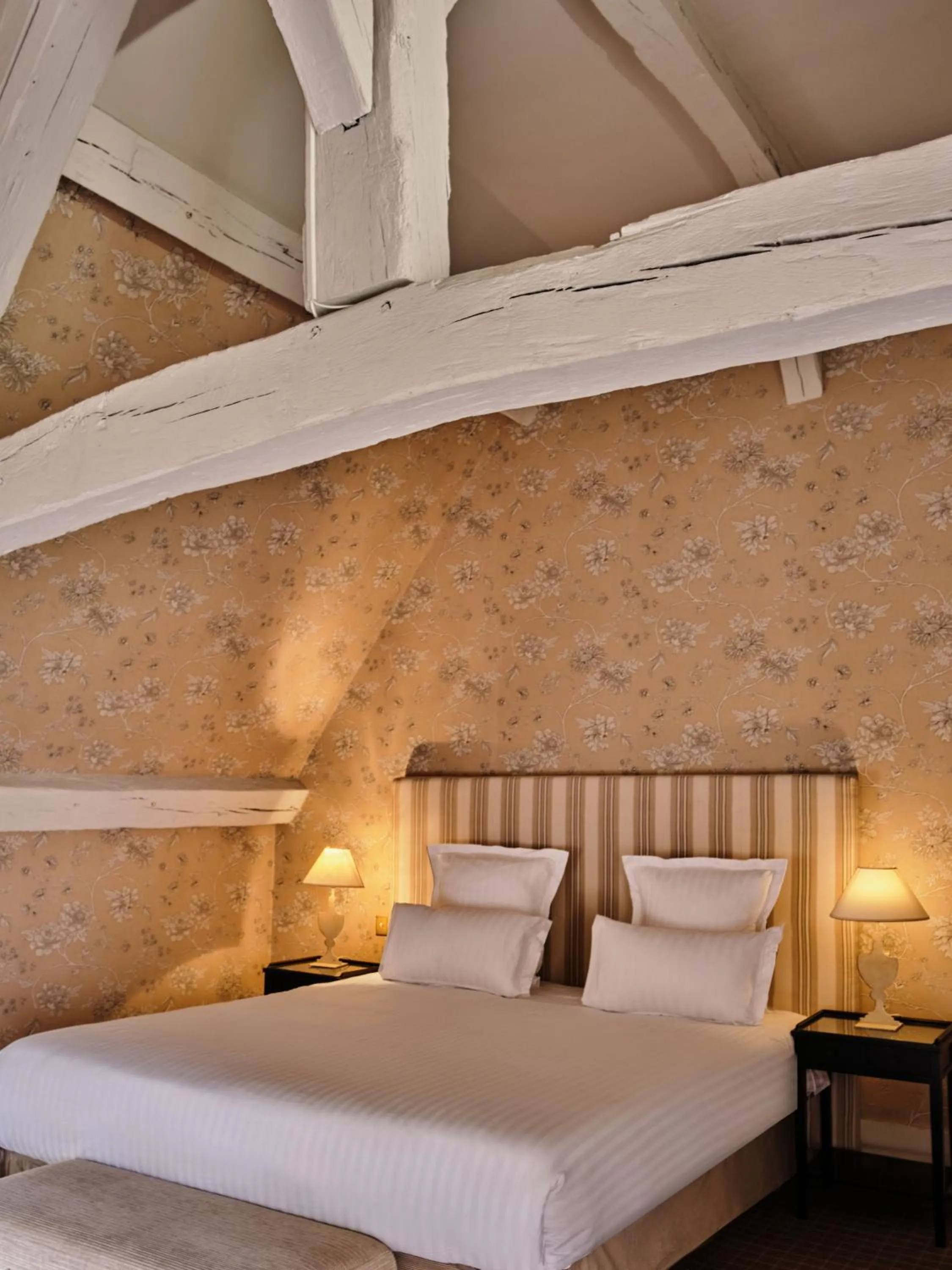 Bed in Château De Villiers-Le-Mahieu