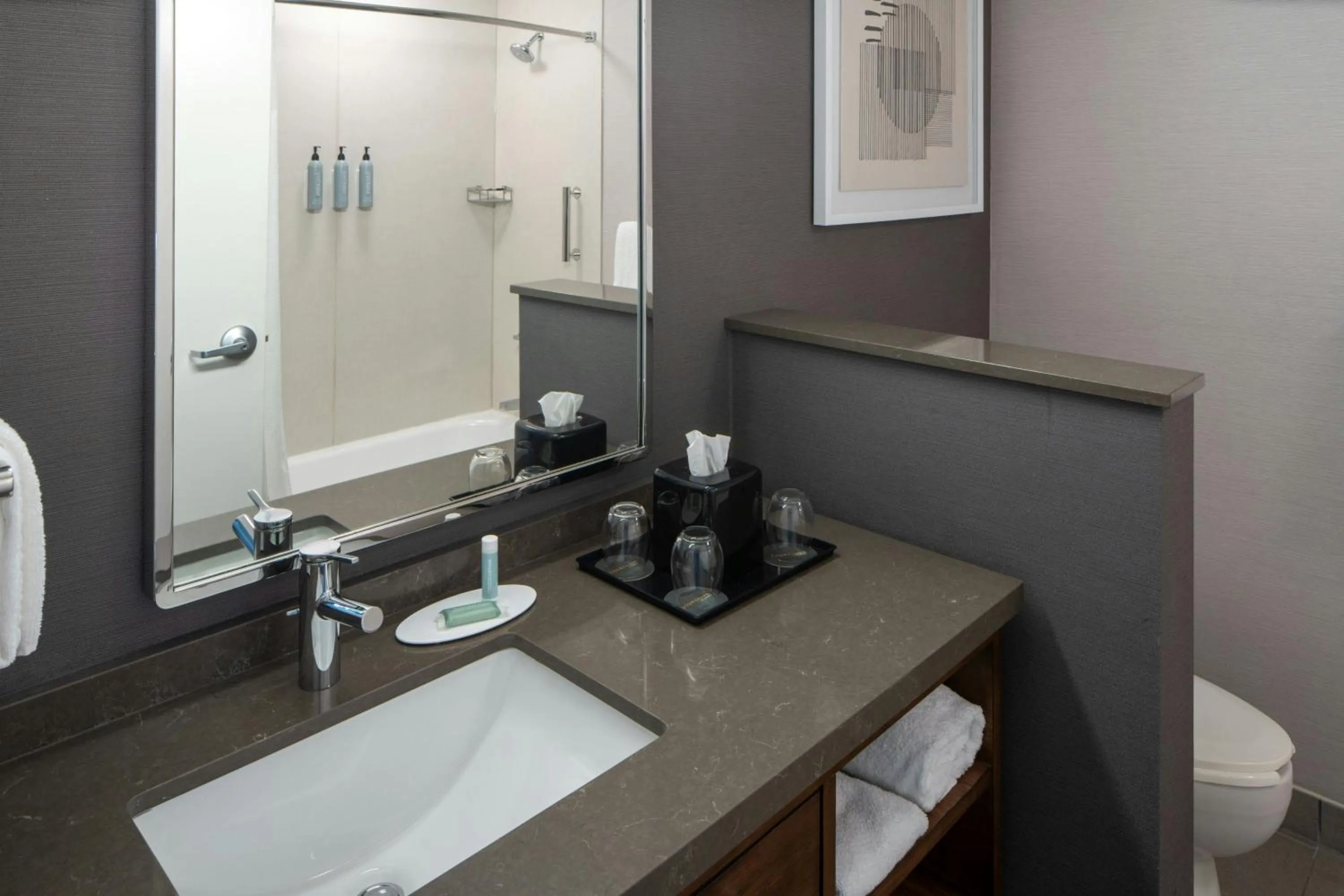 Bathroom in Courtyard Texarkana