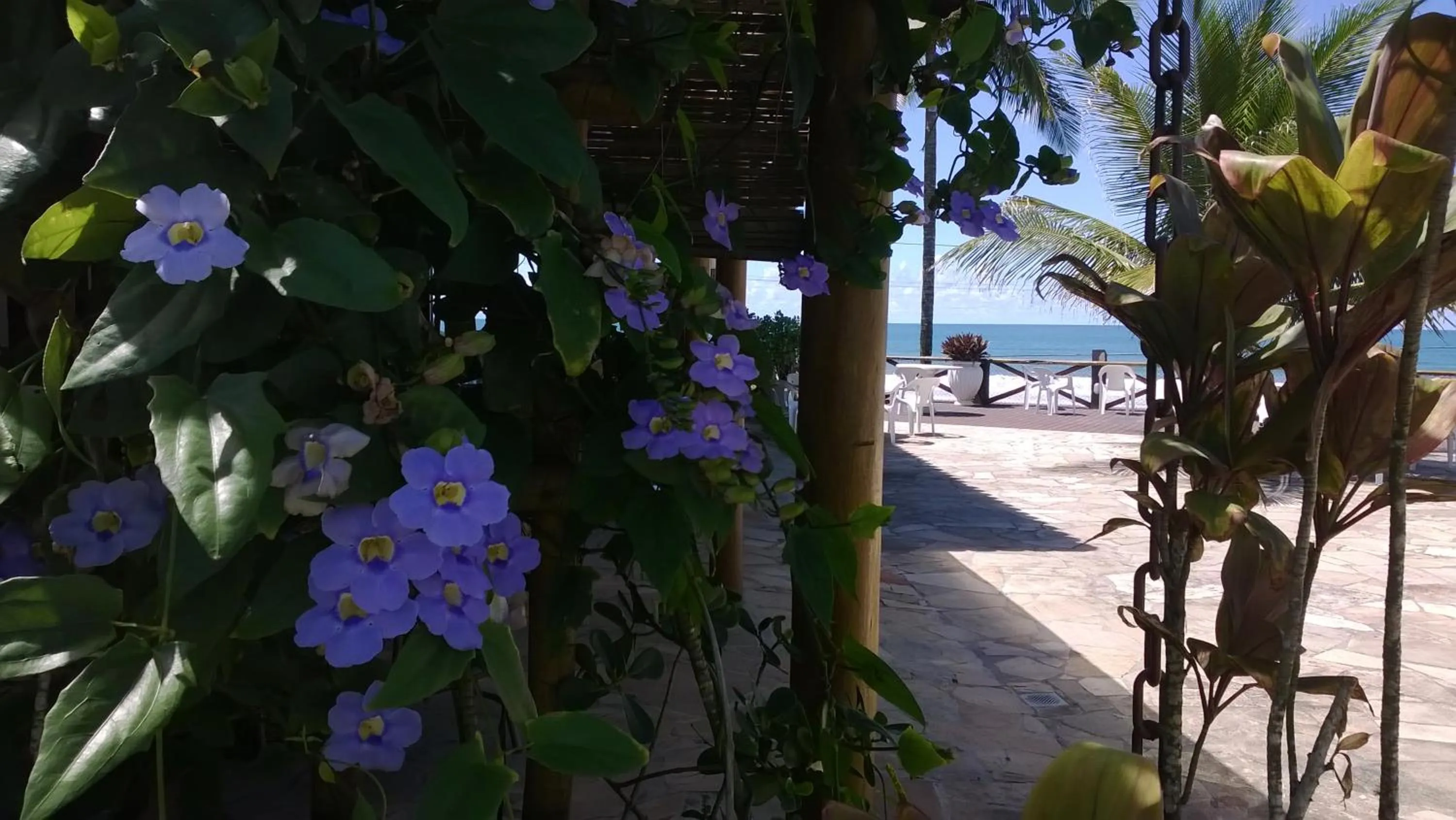 Restaurant/places to eat in Pousada do Mar