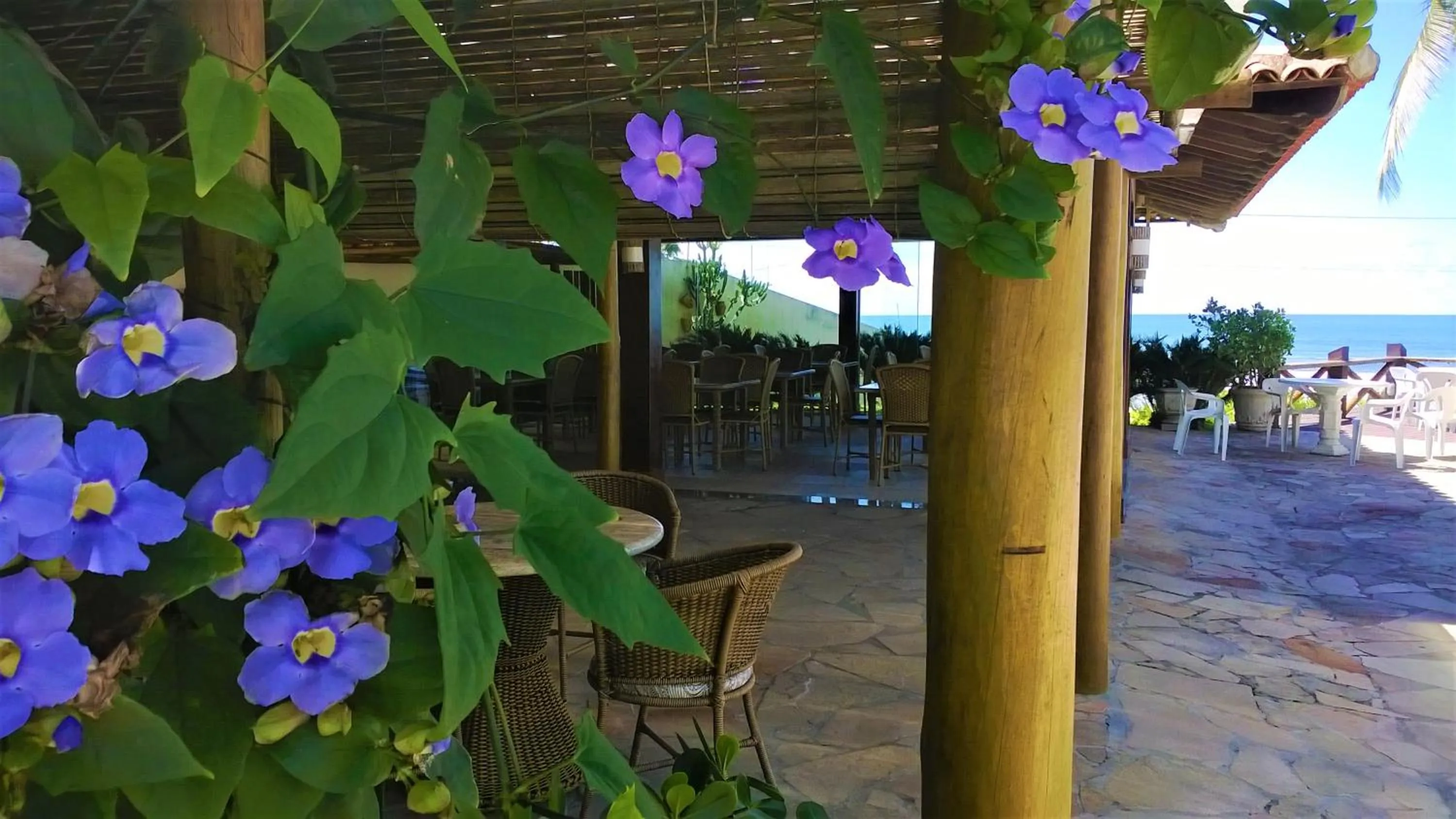 Restaurant/places to eat in Pousada do Mar